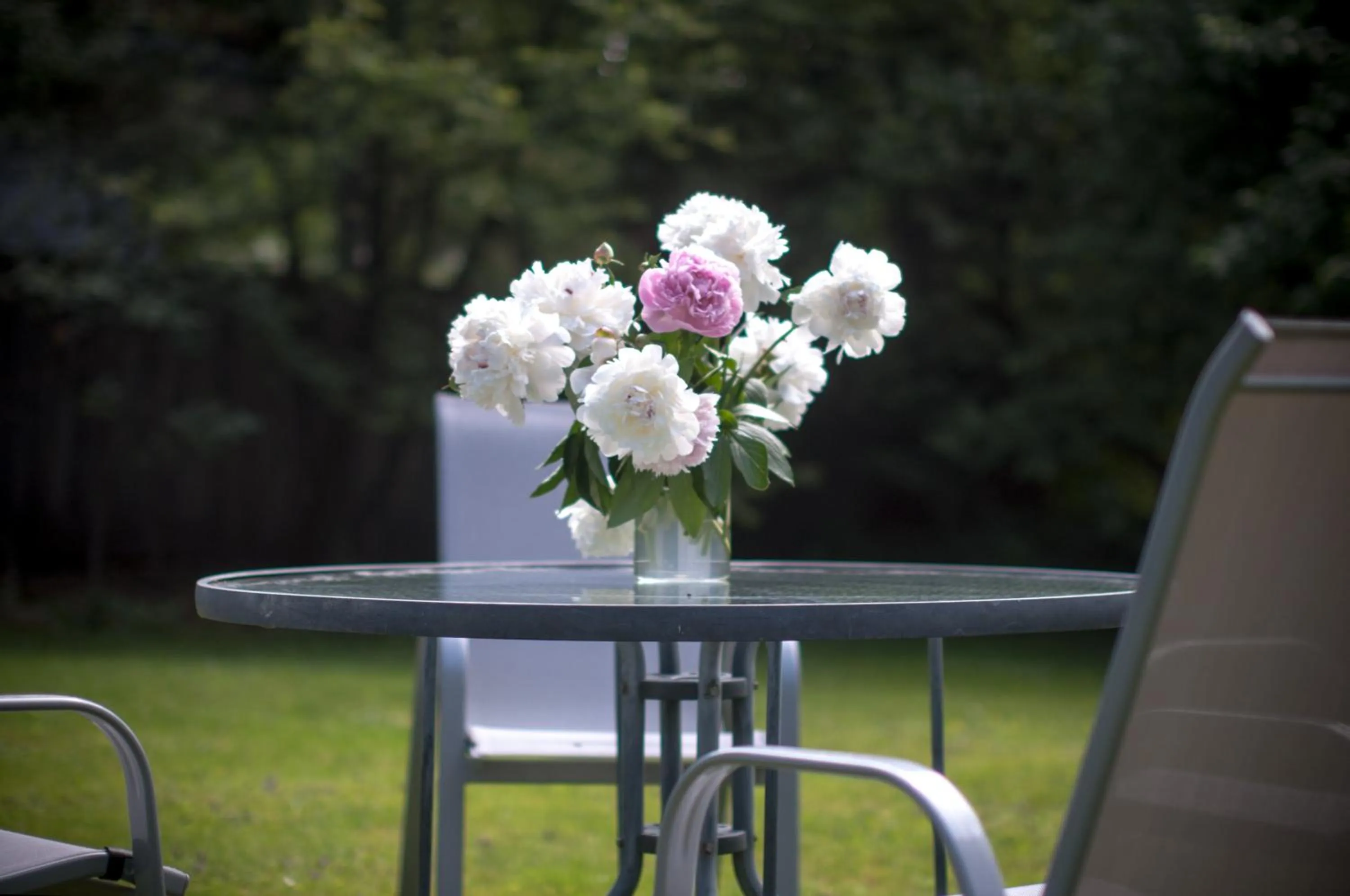 Area and facilities in Willa Marma B&B