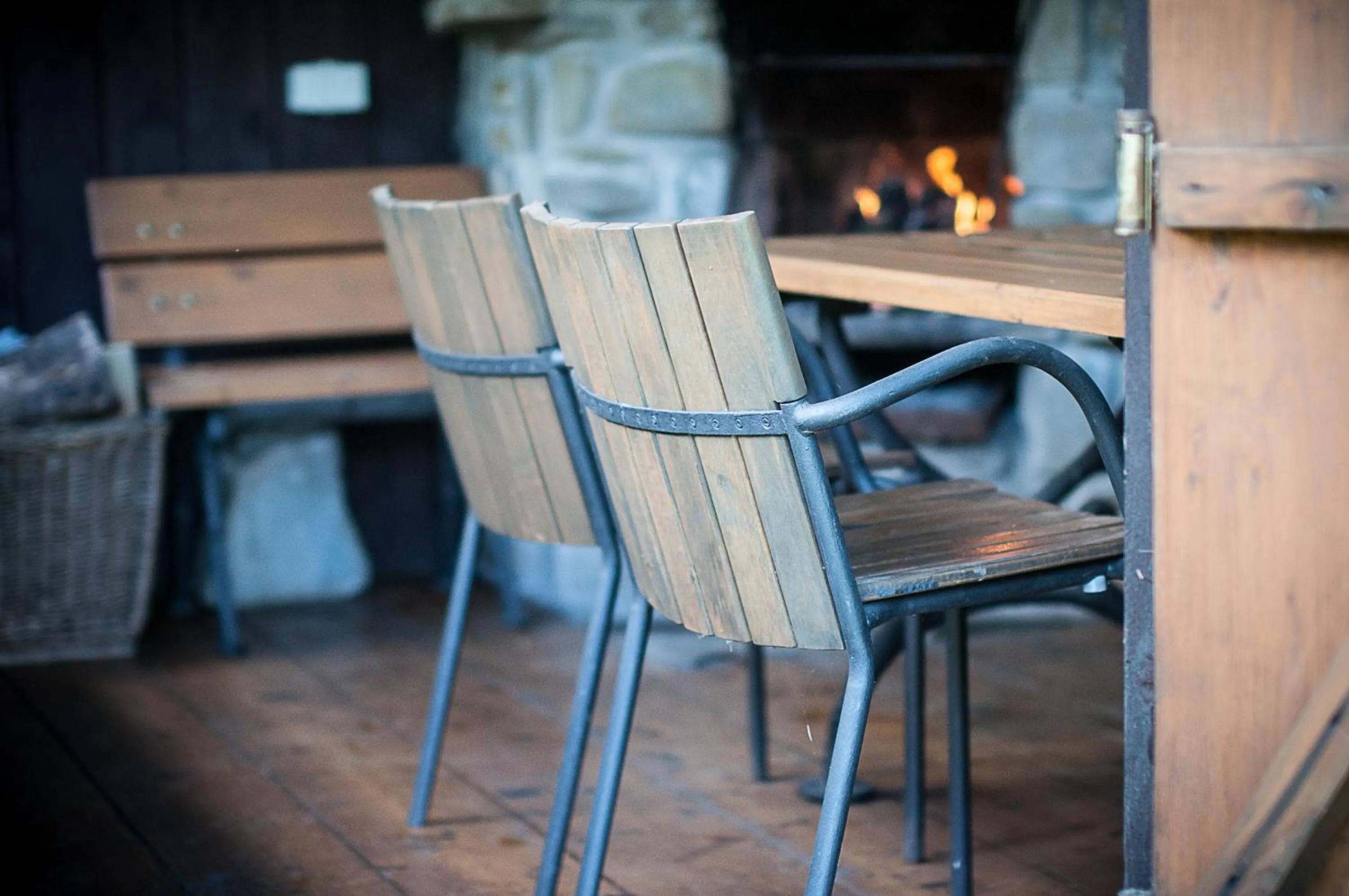 Garden in Willa Marma B&B