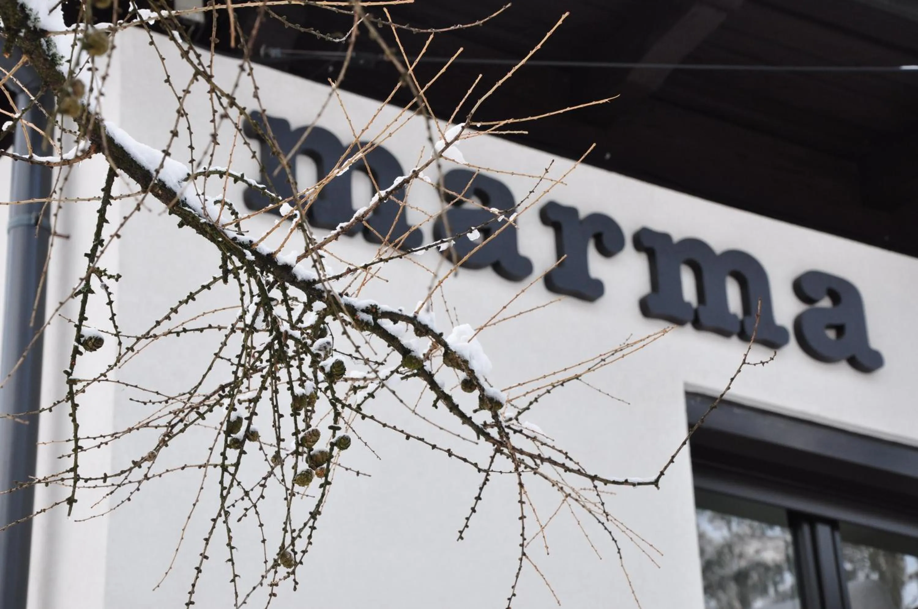 Logo/Certificate/Sign in Willa Marma B&B