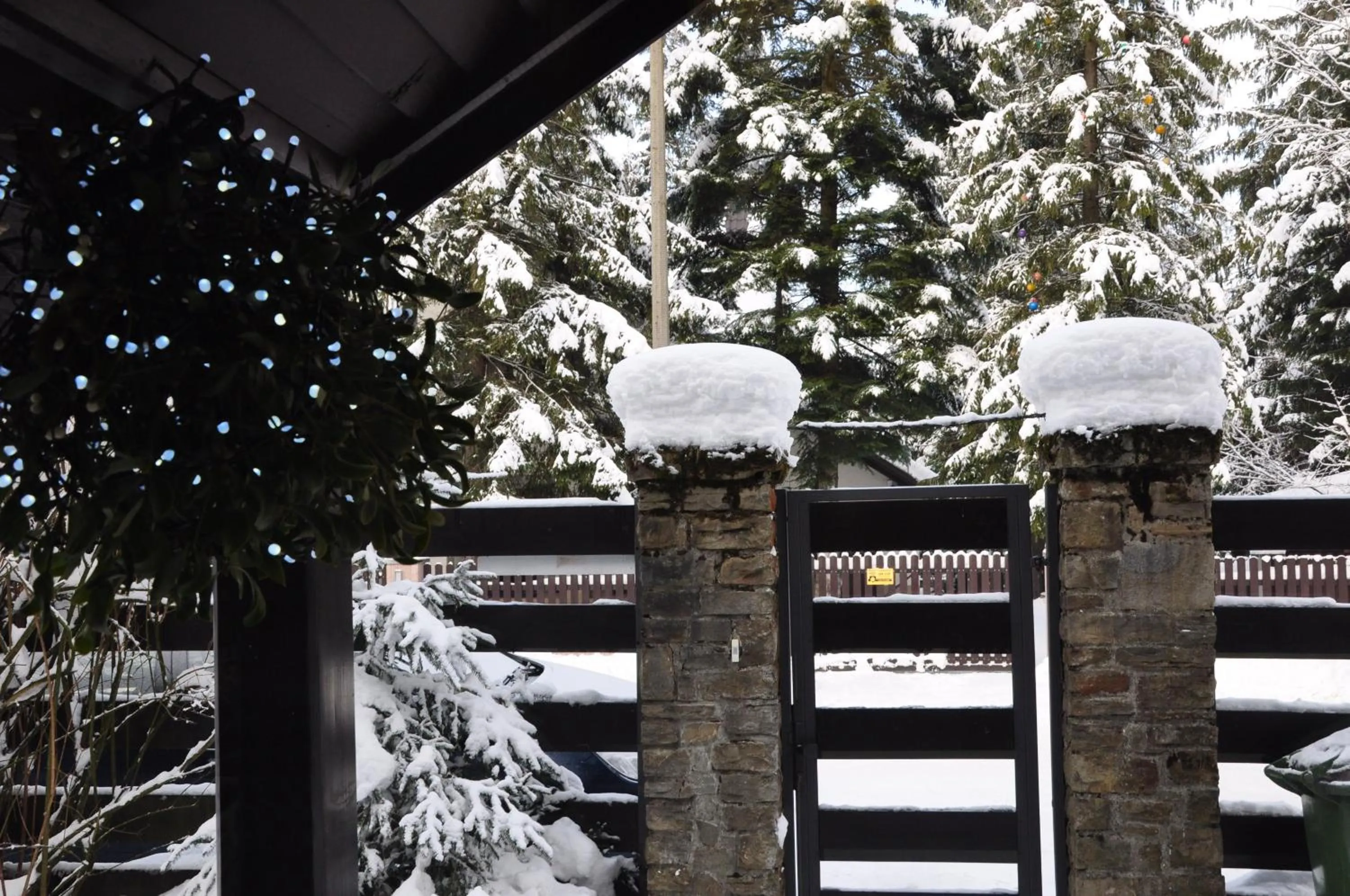 Area and facilities in Willa Marma B&B