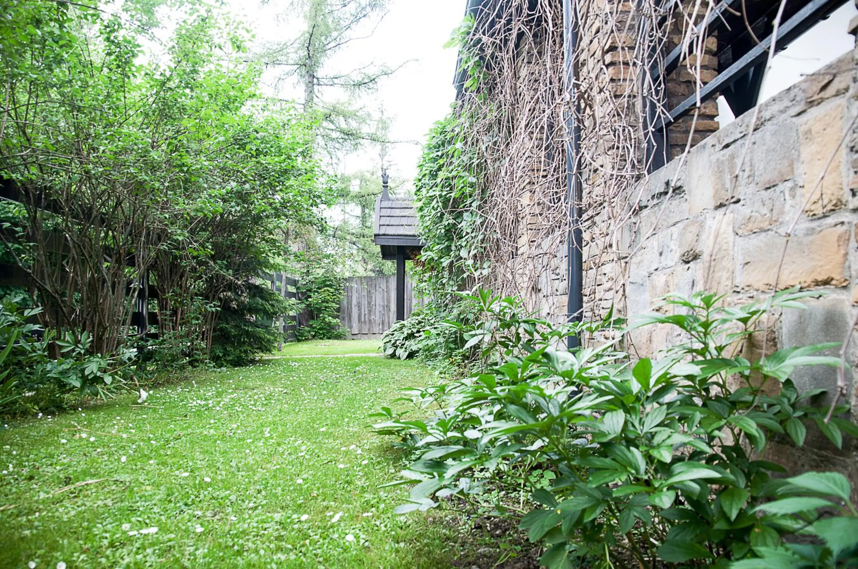 Natural landscape in Willa Marma B&B