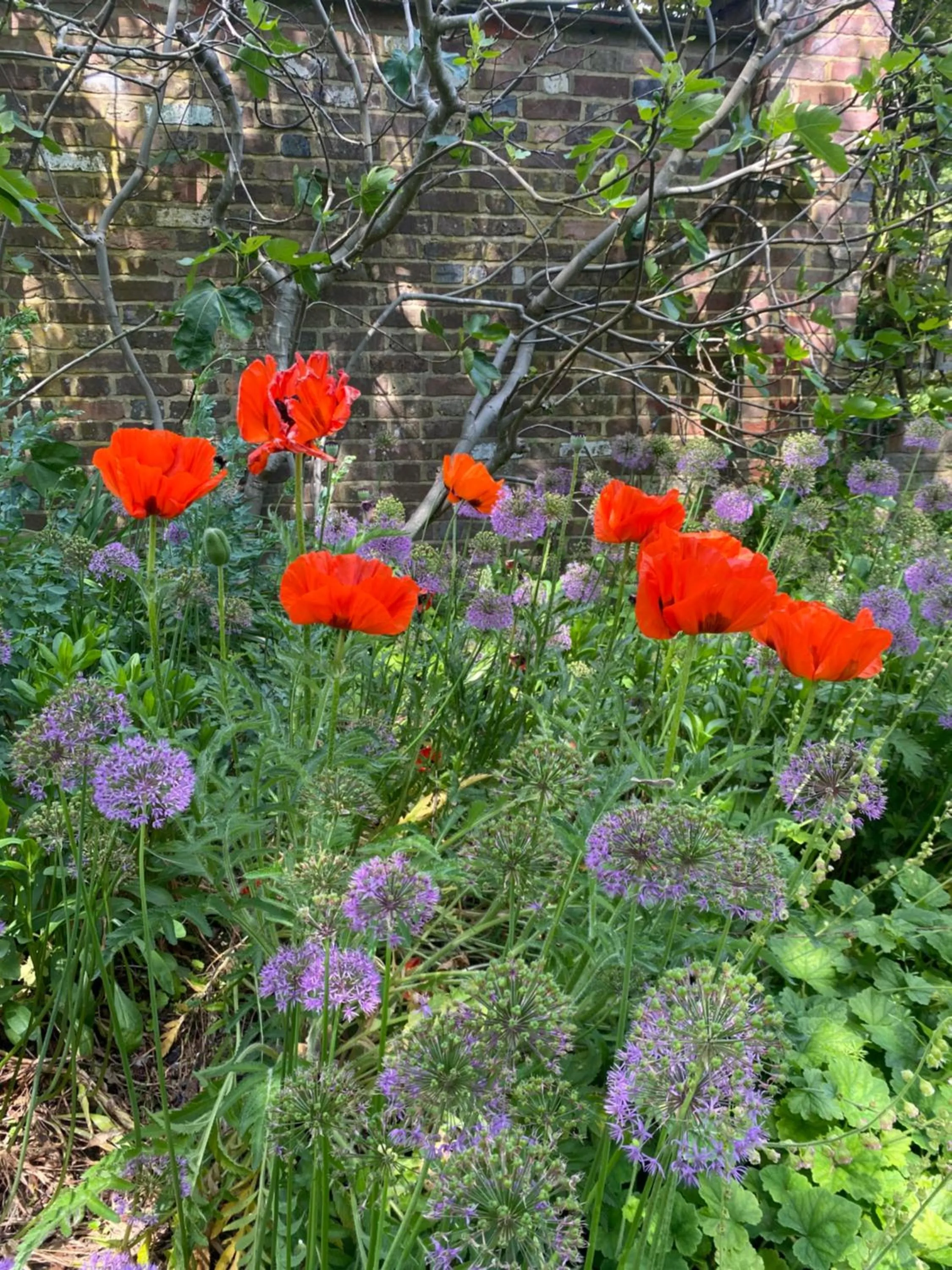 Garden in Langshott Manor - Luxury Hotel Gatwick