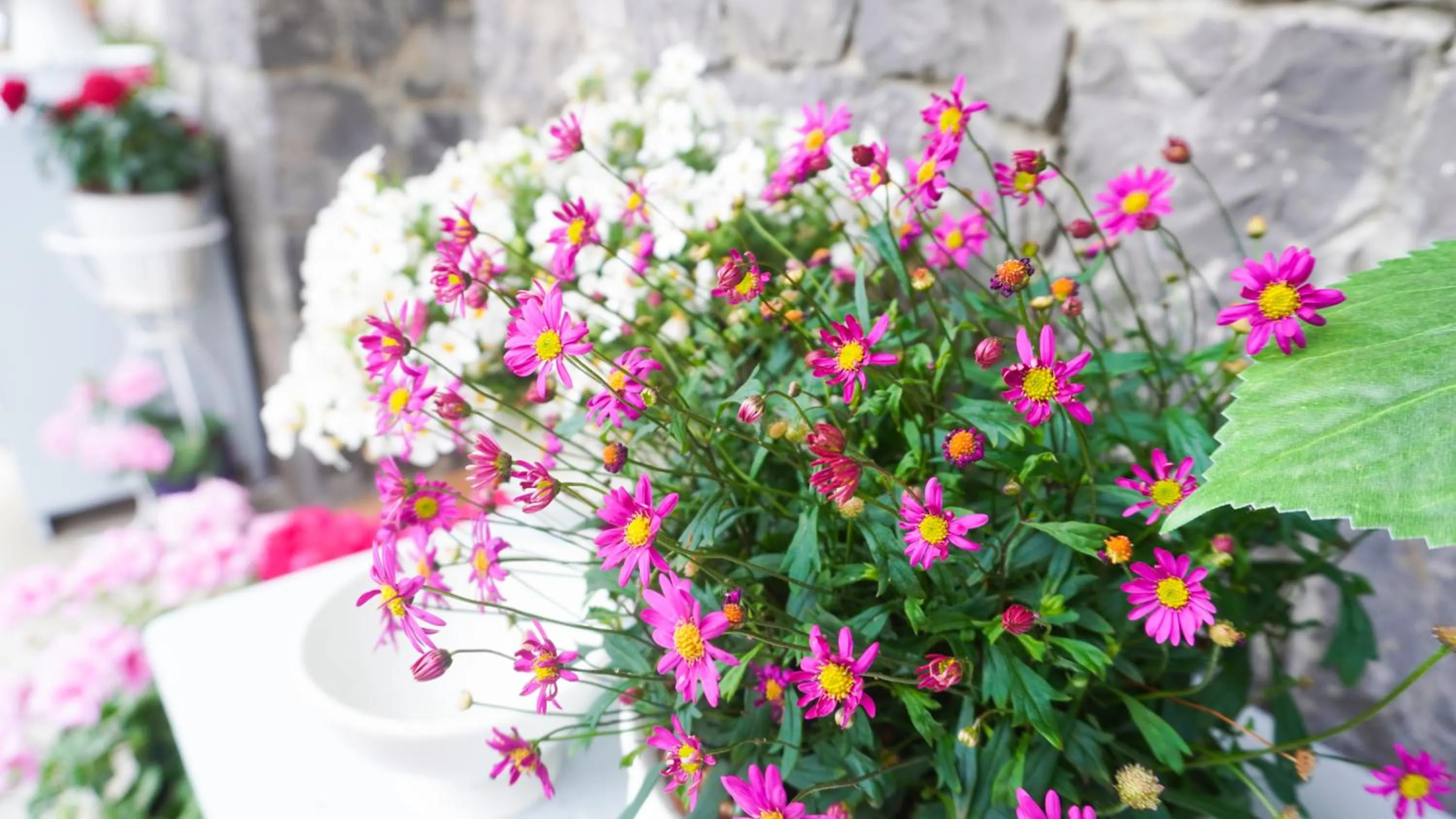 Decorative detail in B&B Casa Dolce Casa