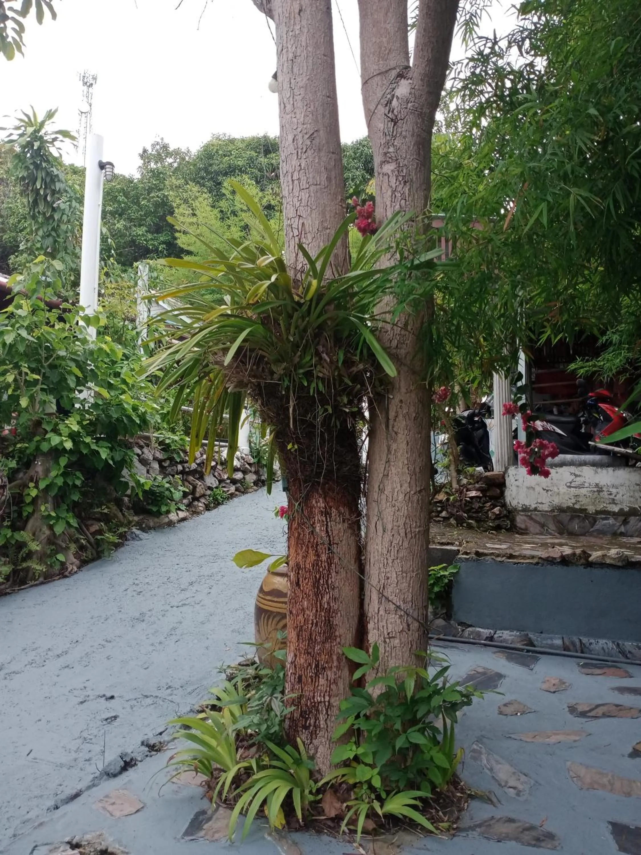 Day in Comon Bungalow HaadChaoPhao