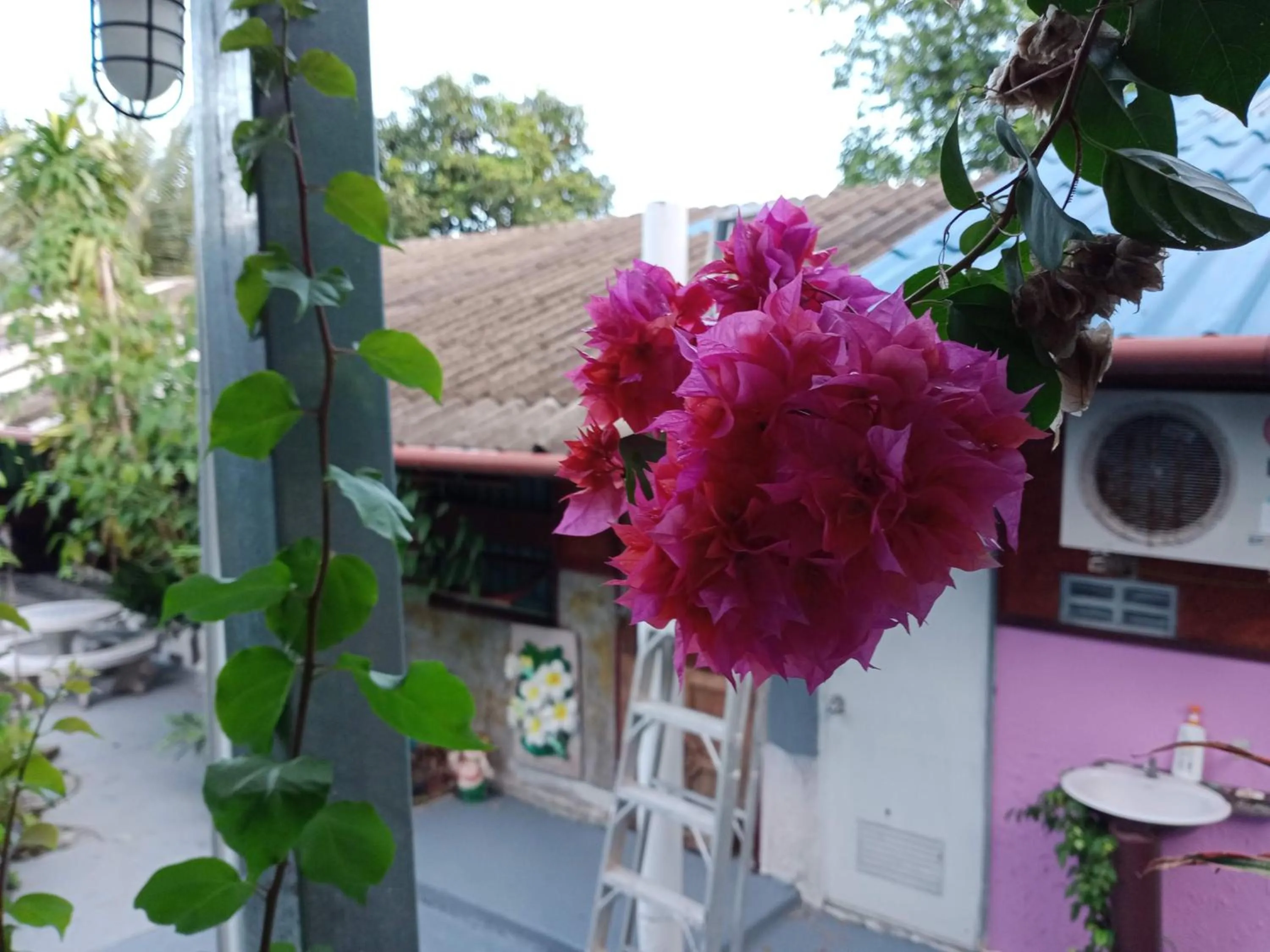 Comon Bungalow HaadChaoPhao