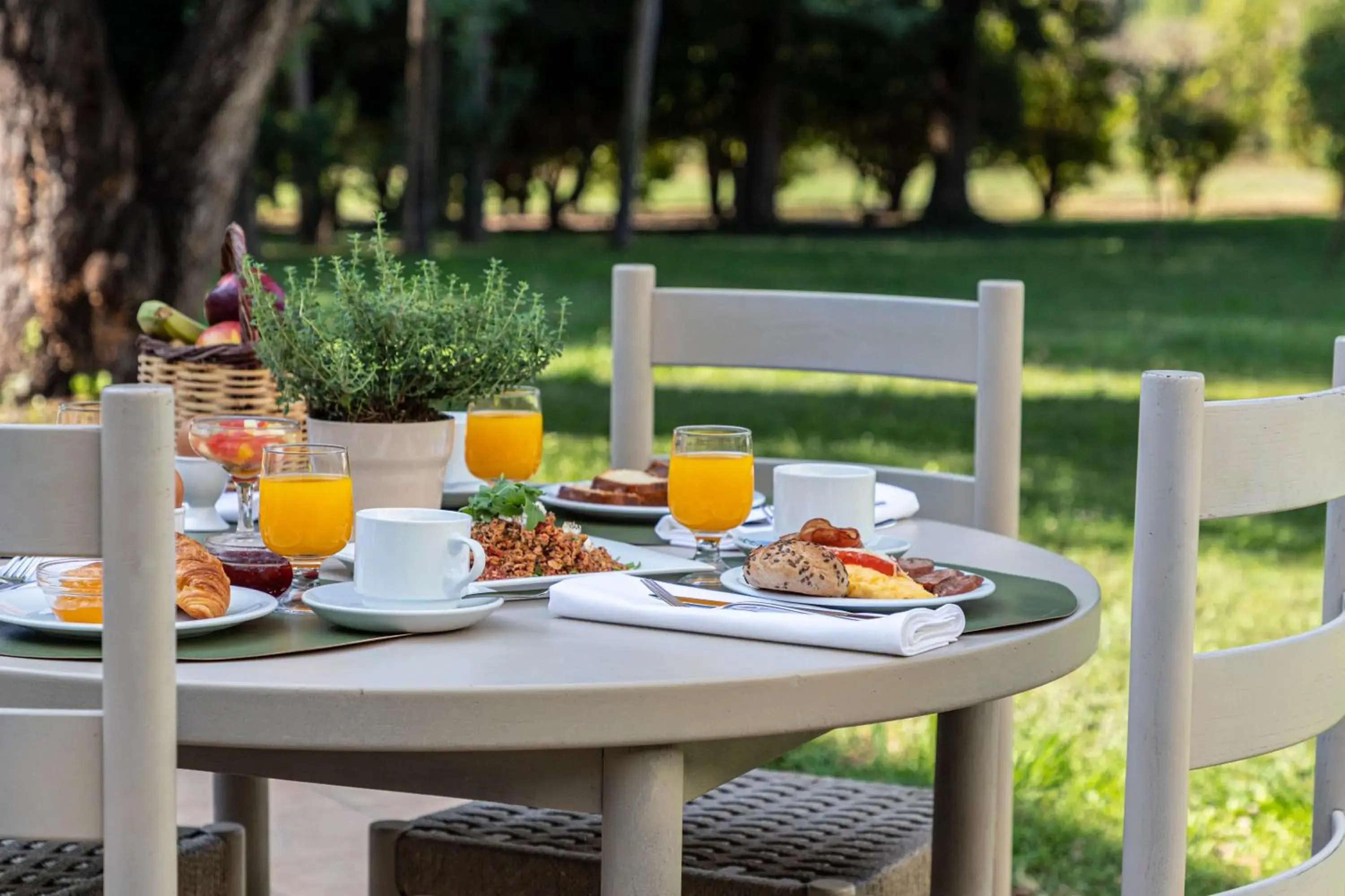 View (from property/room) in Amalia Hotel Olympia View (from property/room) in Amalia Hotel Olympia