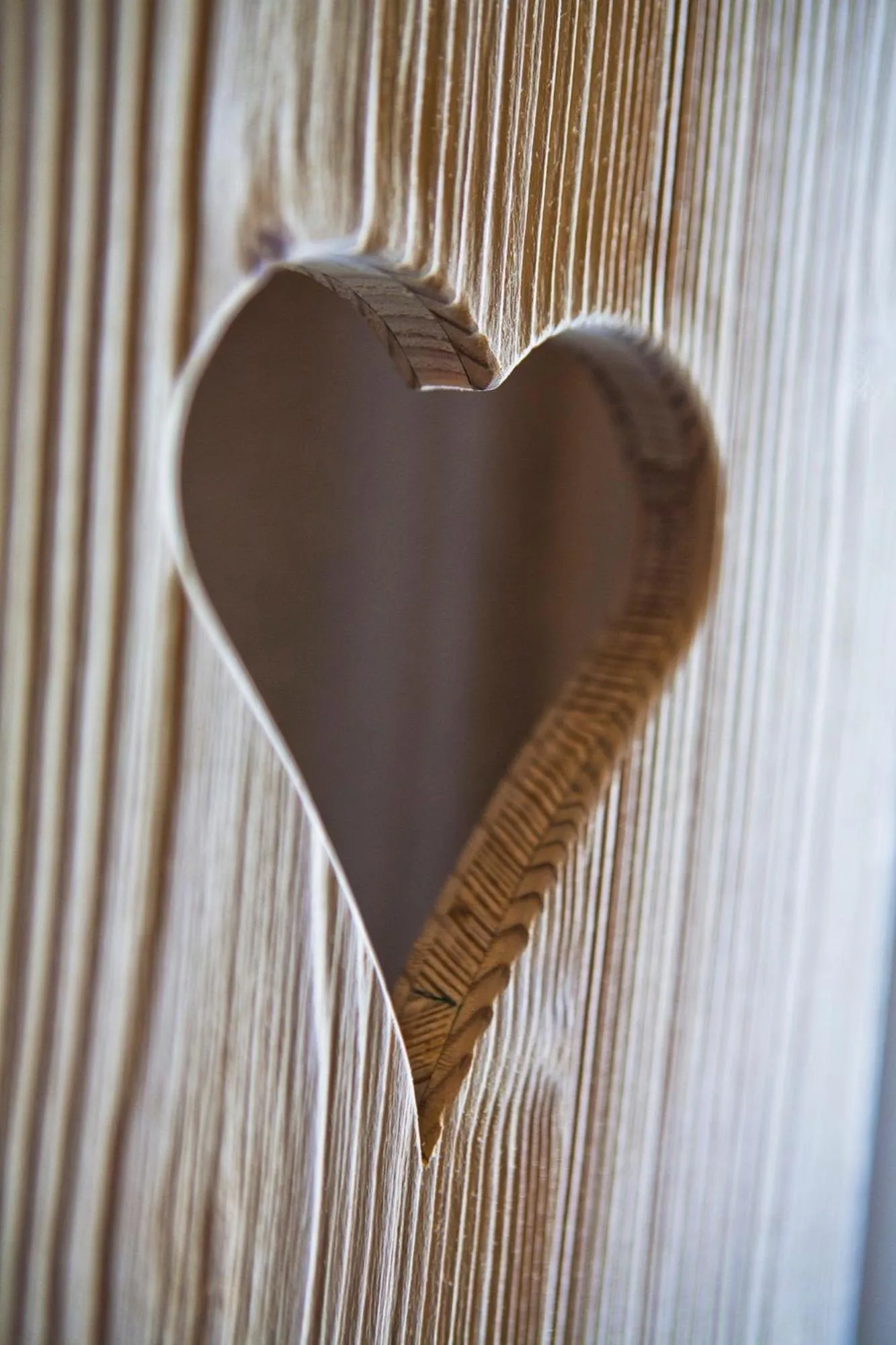 Photo of the whole room in Giardino Mountain