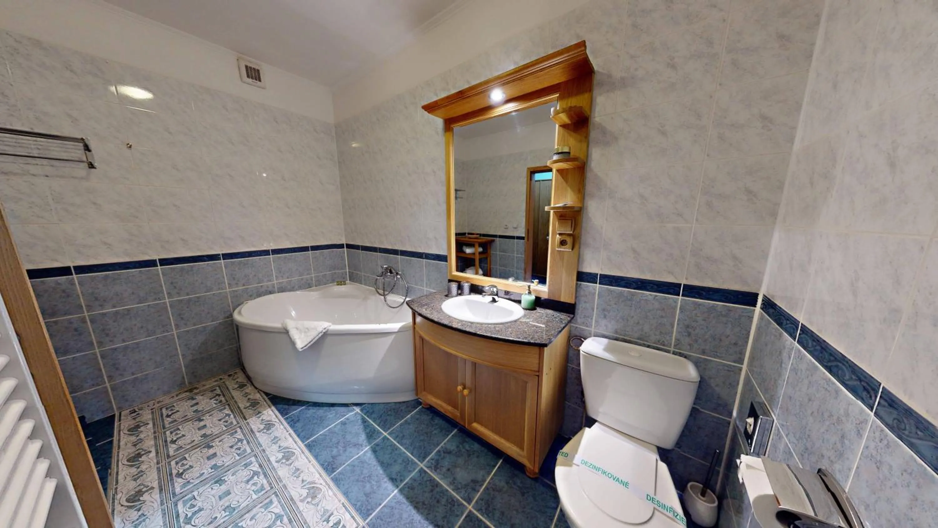 Bathroom in Hotel Diana