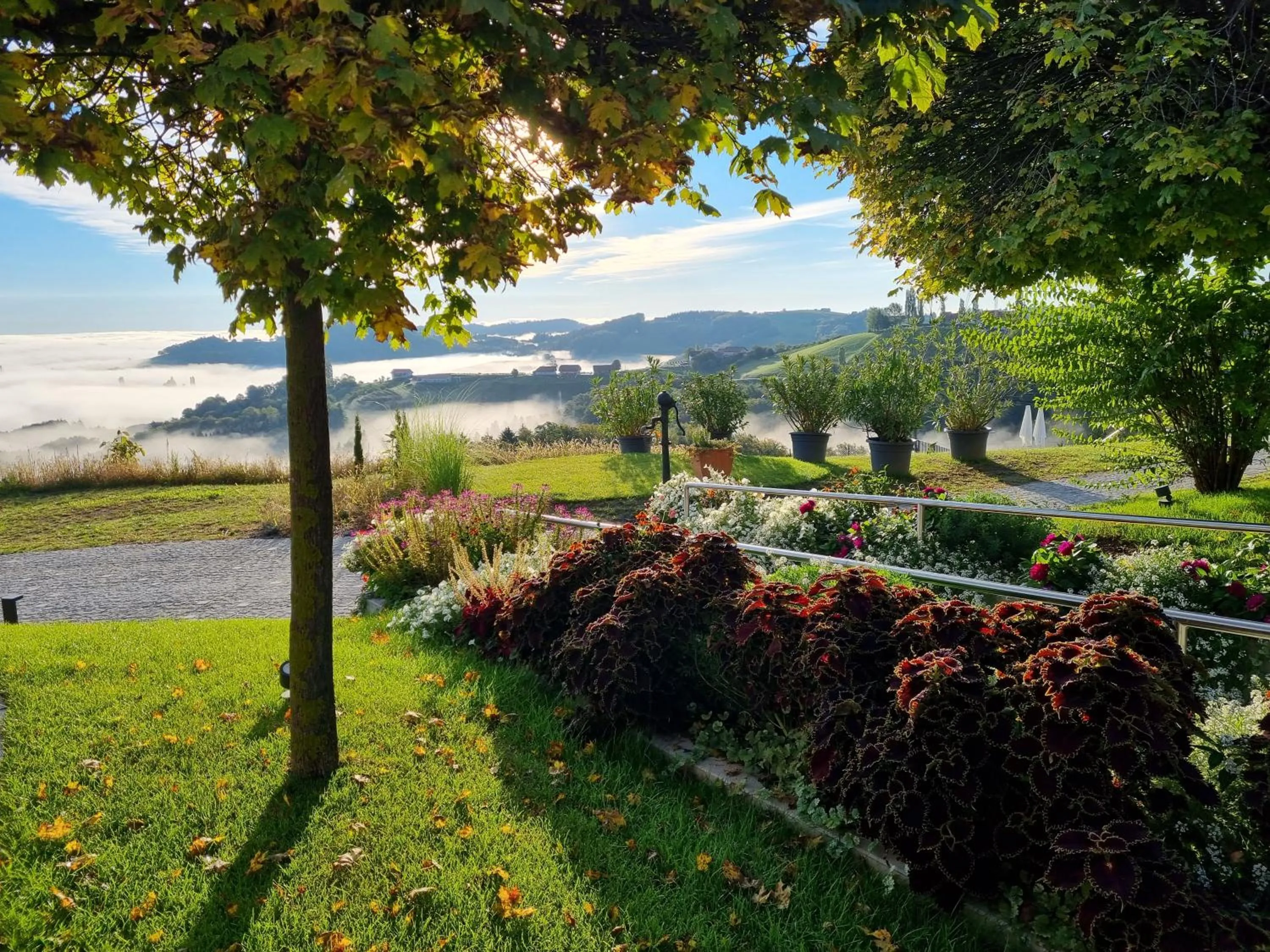 Natural landscape in Jaglhof