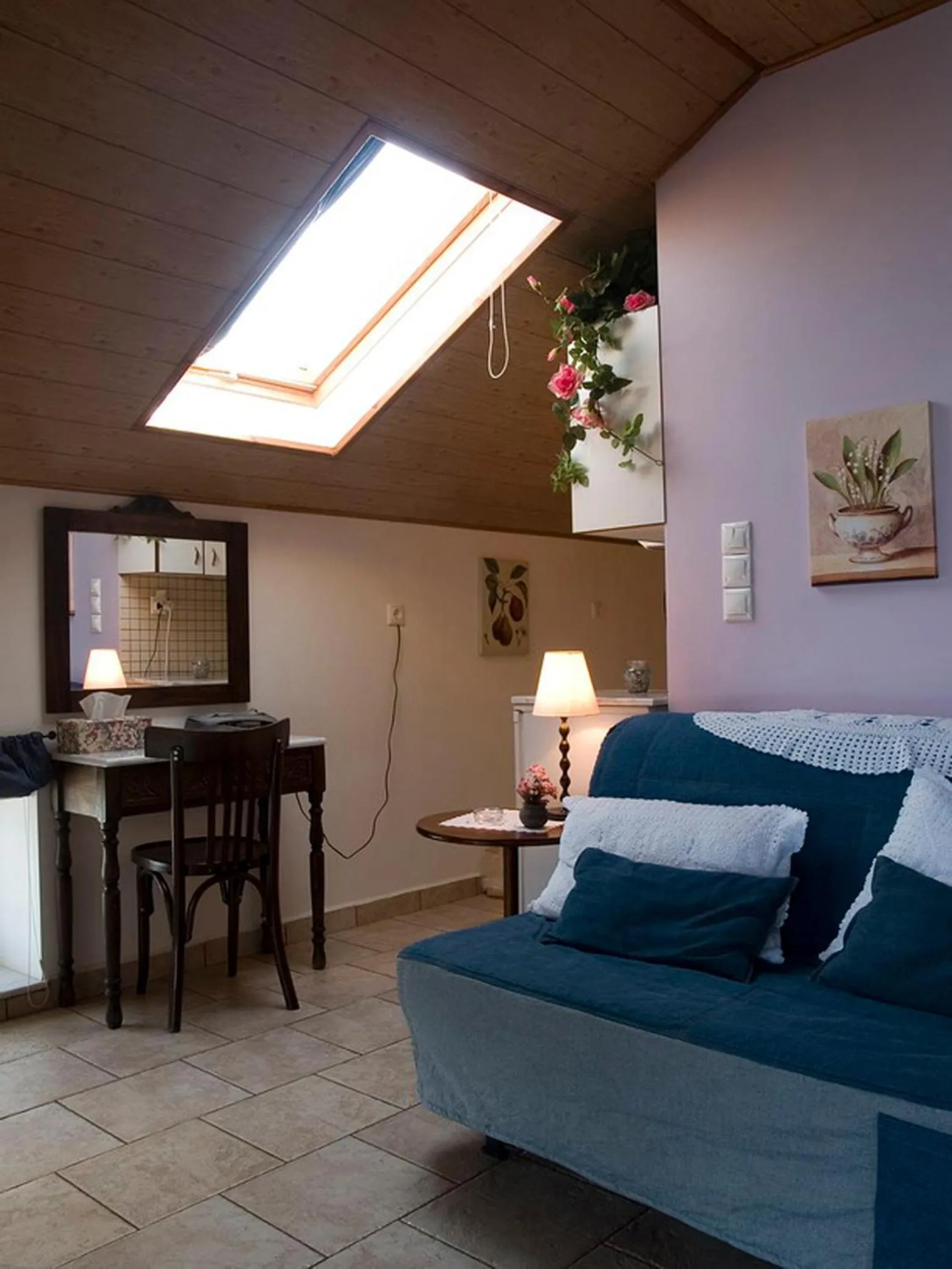 TV and multimedia in Meliti Guesthouse