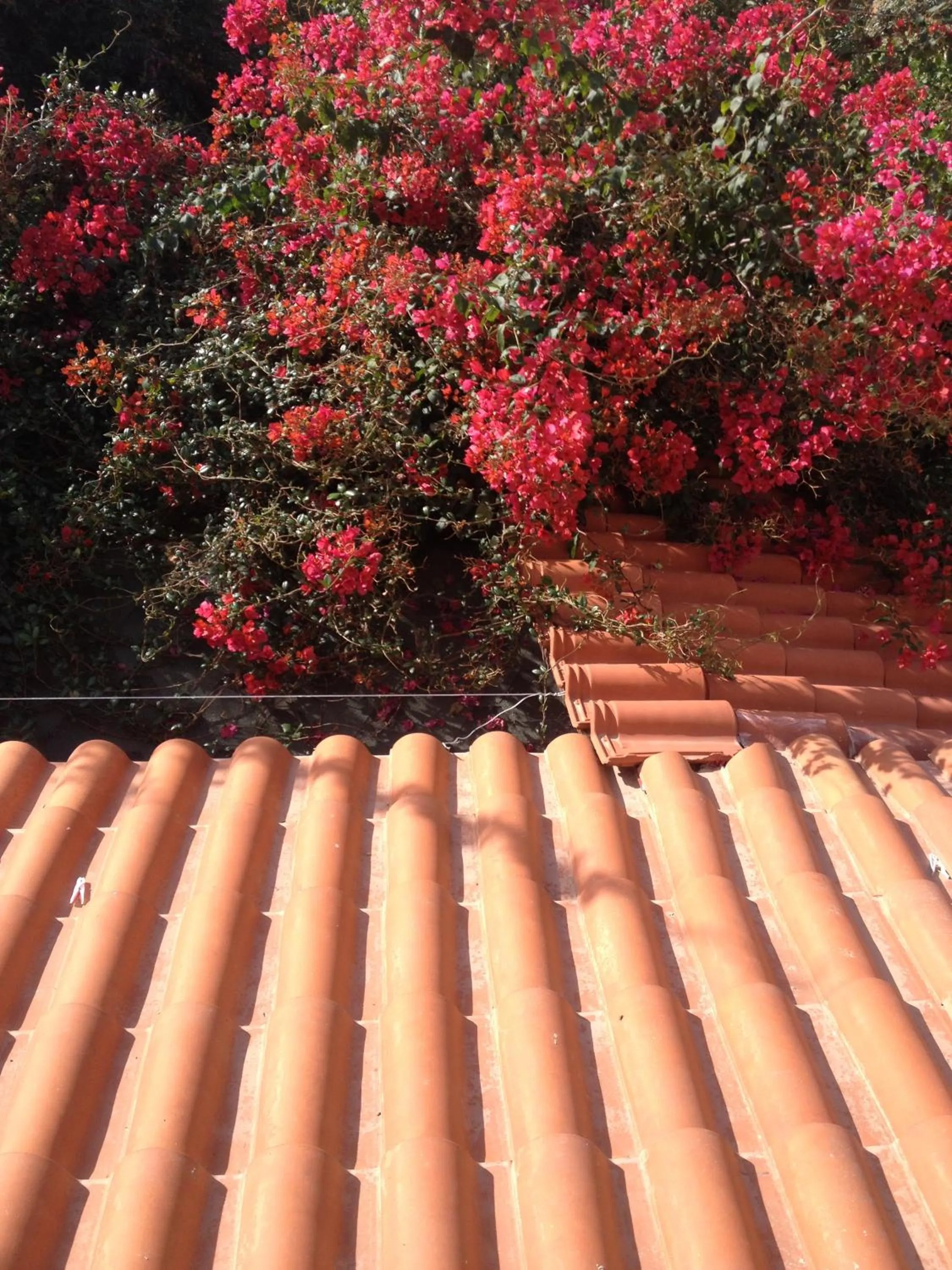 Bird's eye view in Meliti Guesthouse