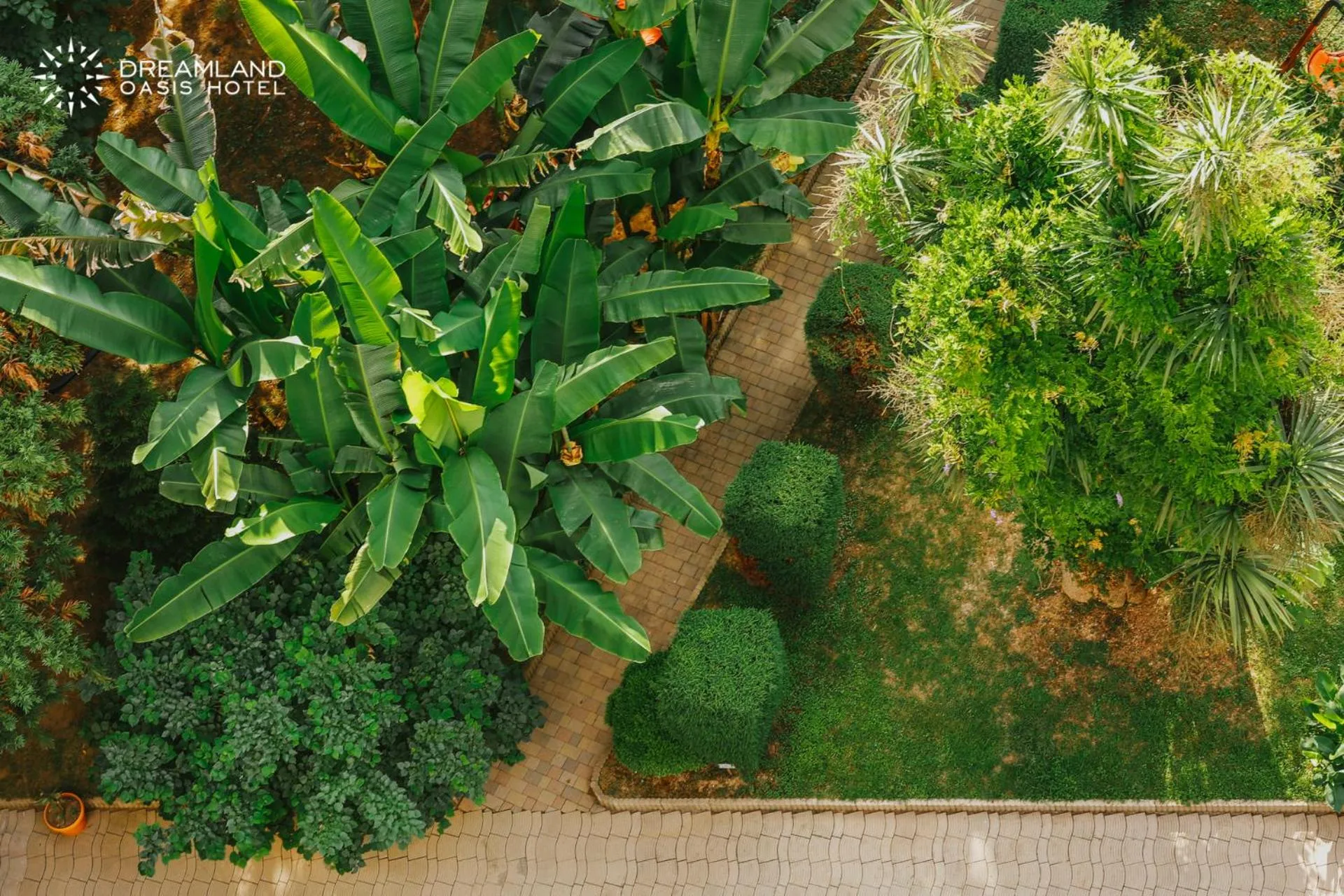 Natural landscape in Dreamland Oasis Hotel Chakvi