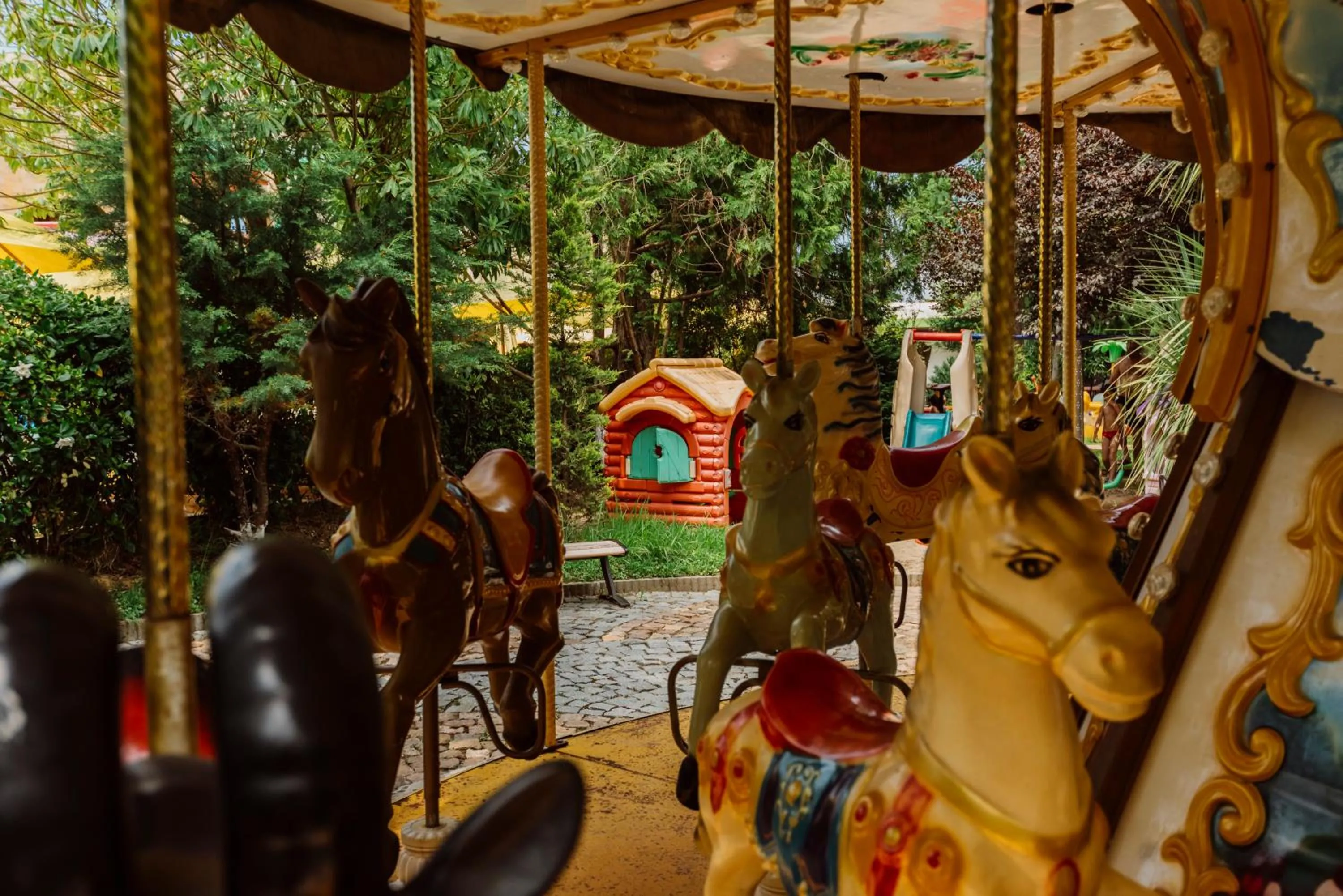 Entertainment in Dreamland Oasis Hotel Chakvi