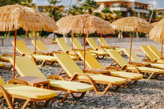 Beach in Dreamland Oasis Hotel Chakvi
