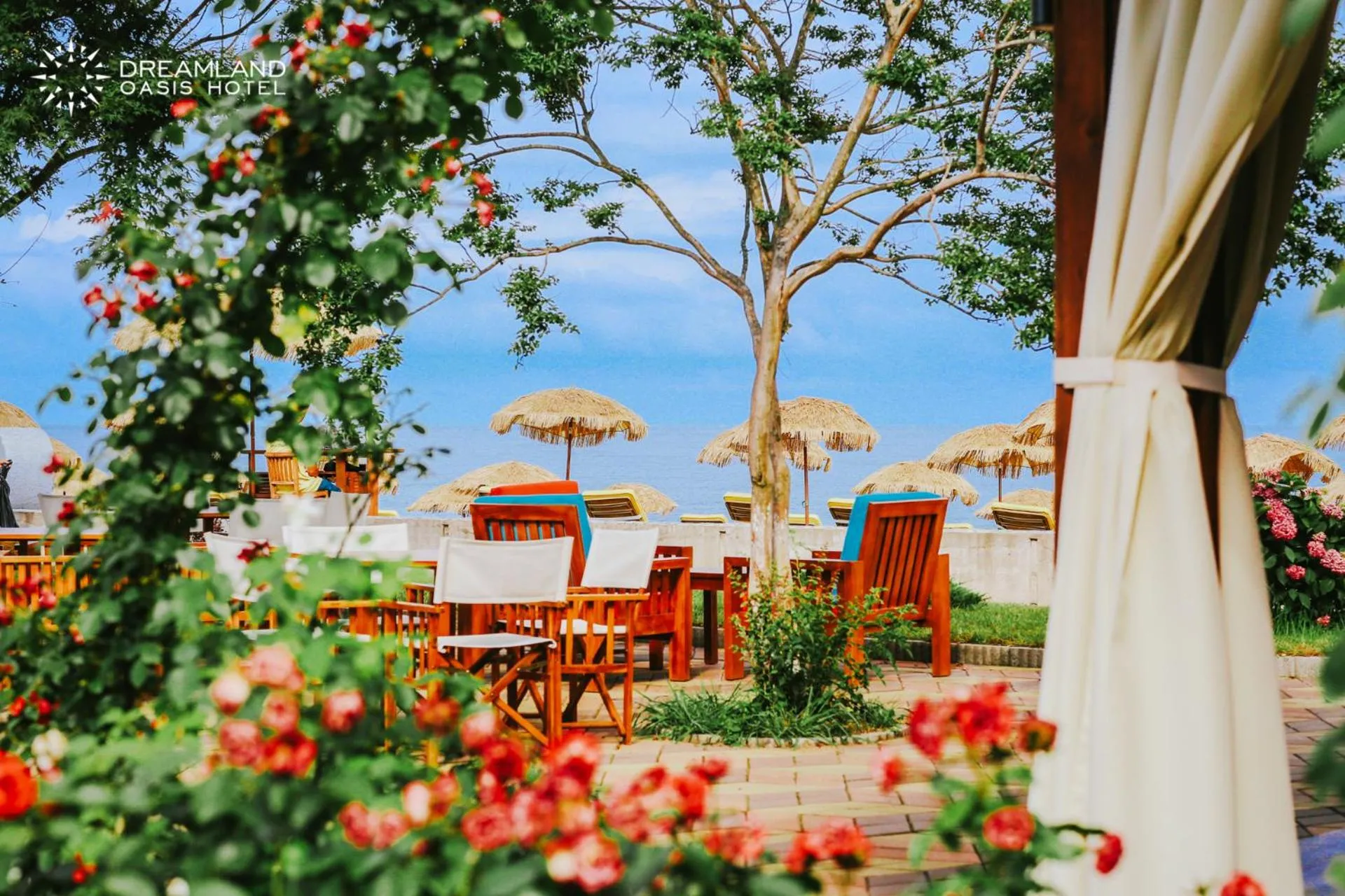 Restaurant/places to eat in Dreamland Oasis Hotel Chakvi