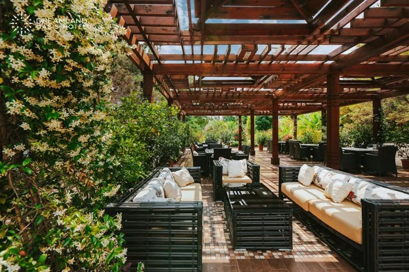 Restaurant/places to eat in Dreamland Oasis Hotel Chakvi