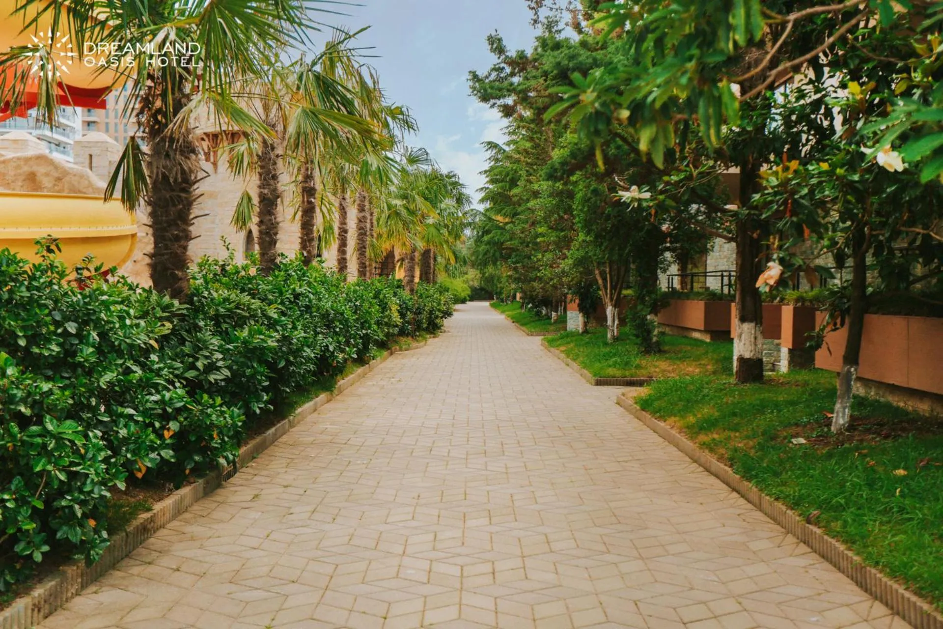 Natural landscape in Dreamland Oasis Hotel Chakvi