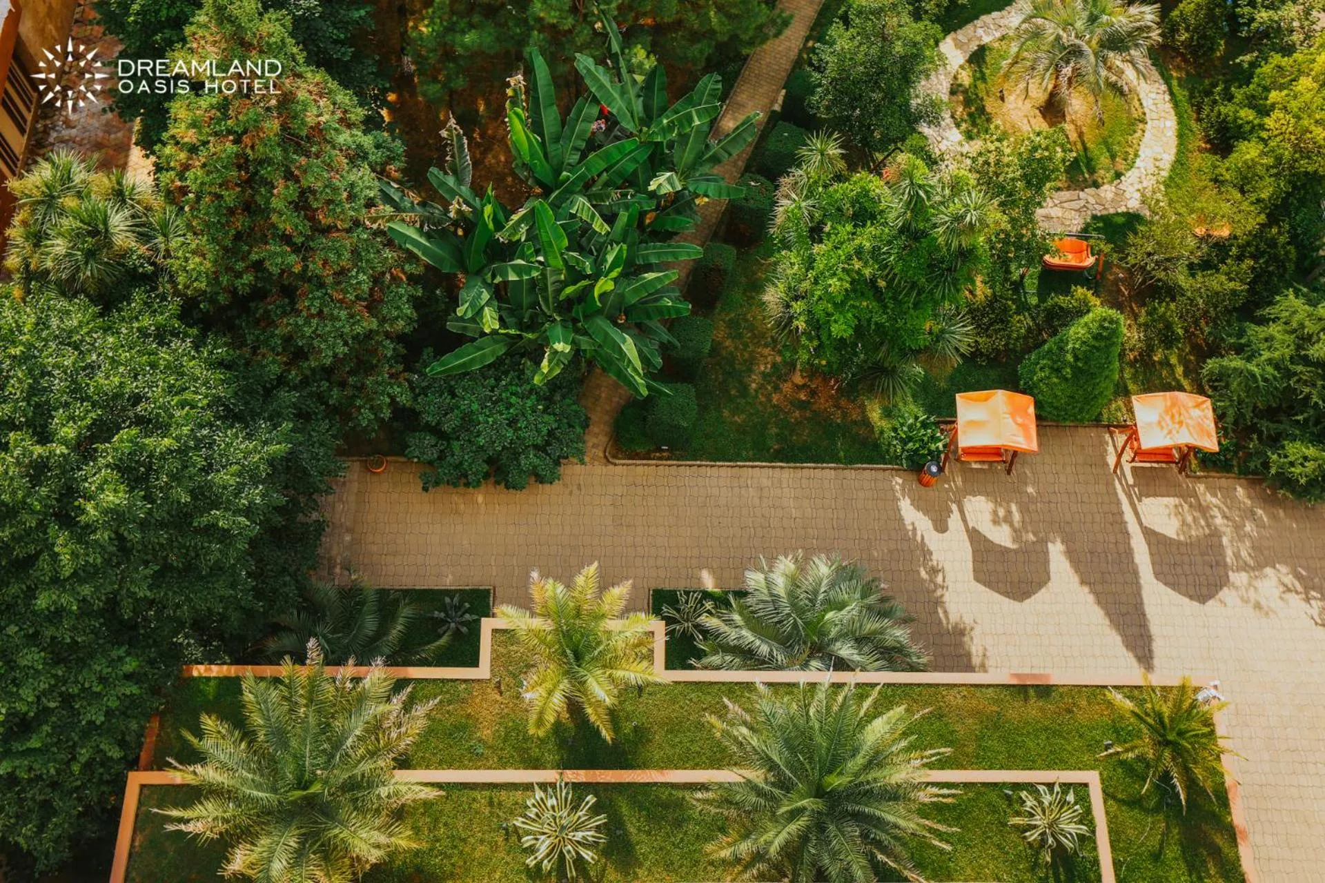 Property building in Dreamland Oasis Hotel Chakvi