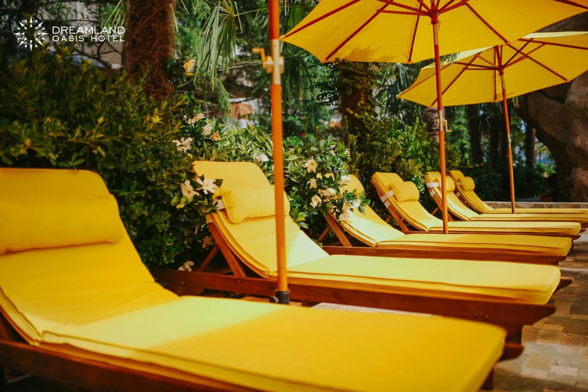 Summer in Dreamland Oasis Hotel Chakvi