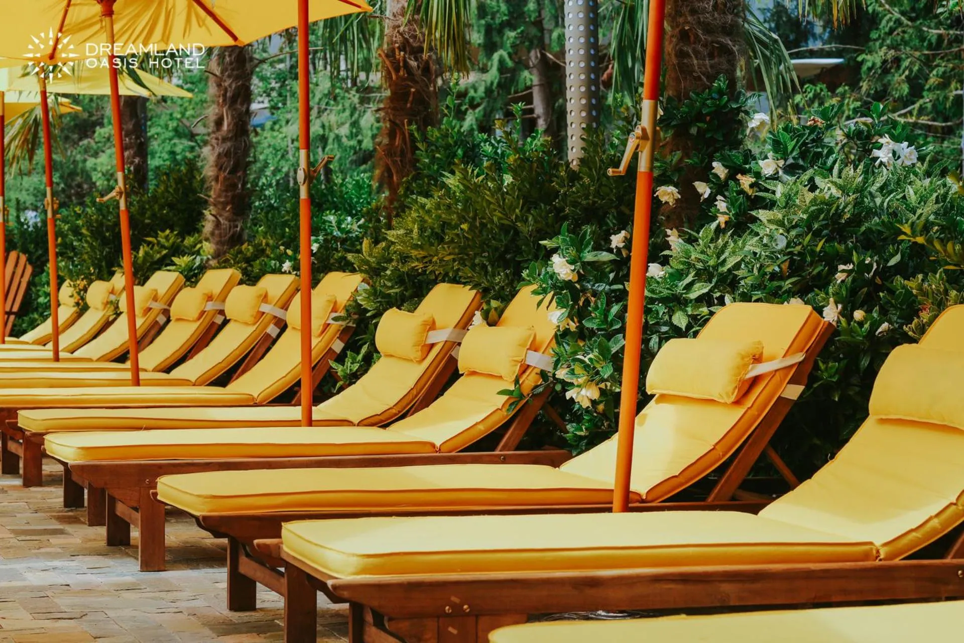 Aqua park in Dreamland Oasis Hotel Chakvi