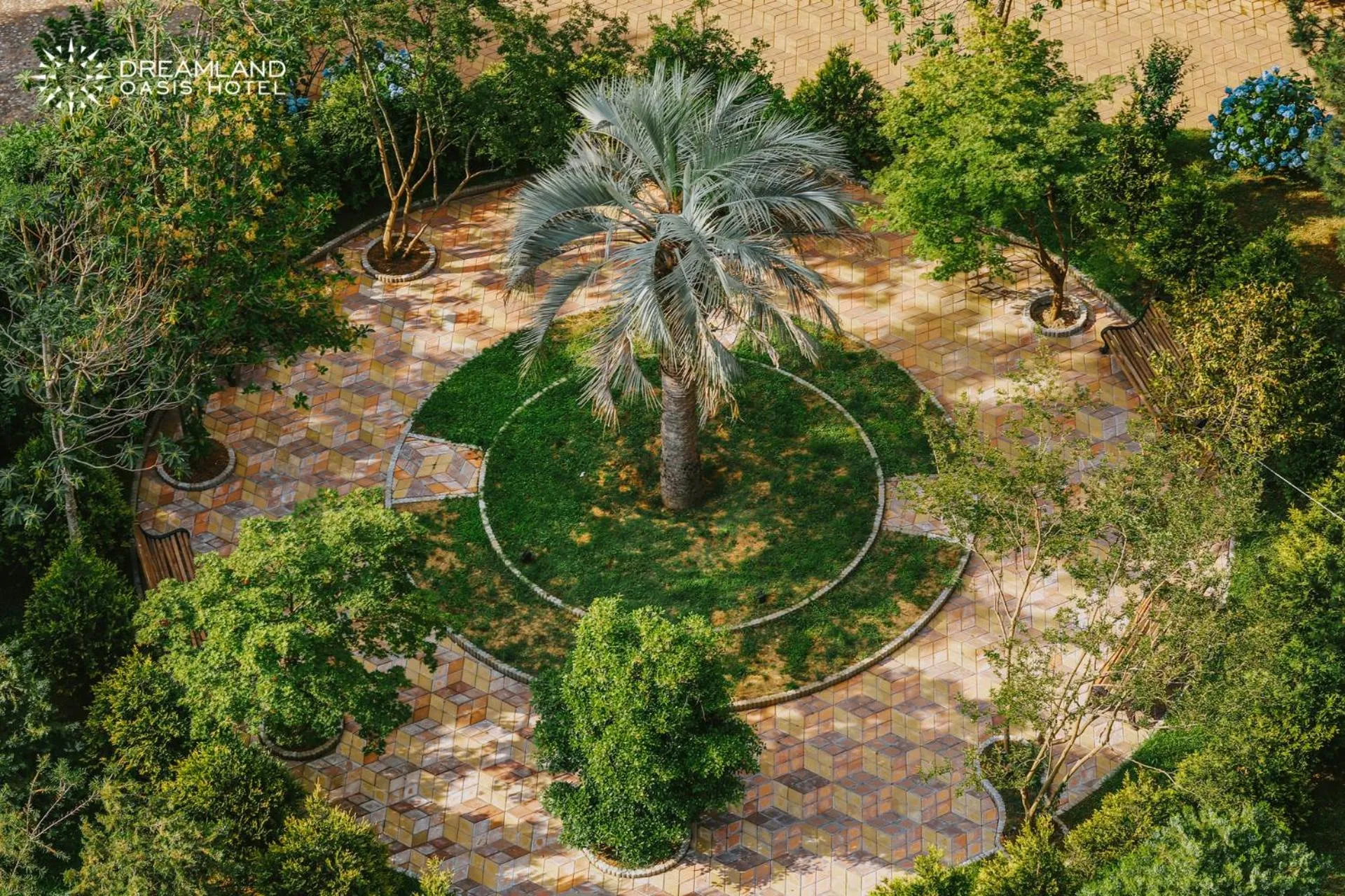 Garden in Dreamland Oasis Hotel Chakvi