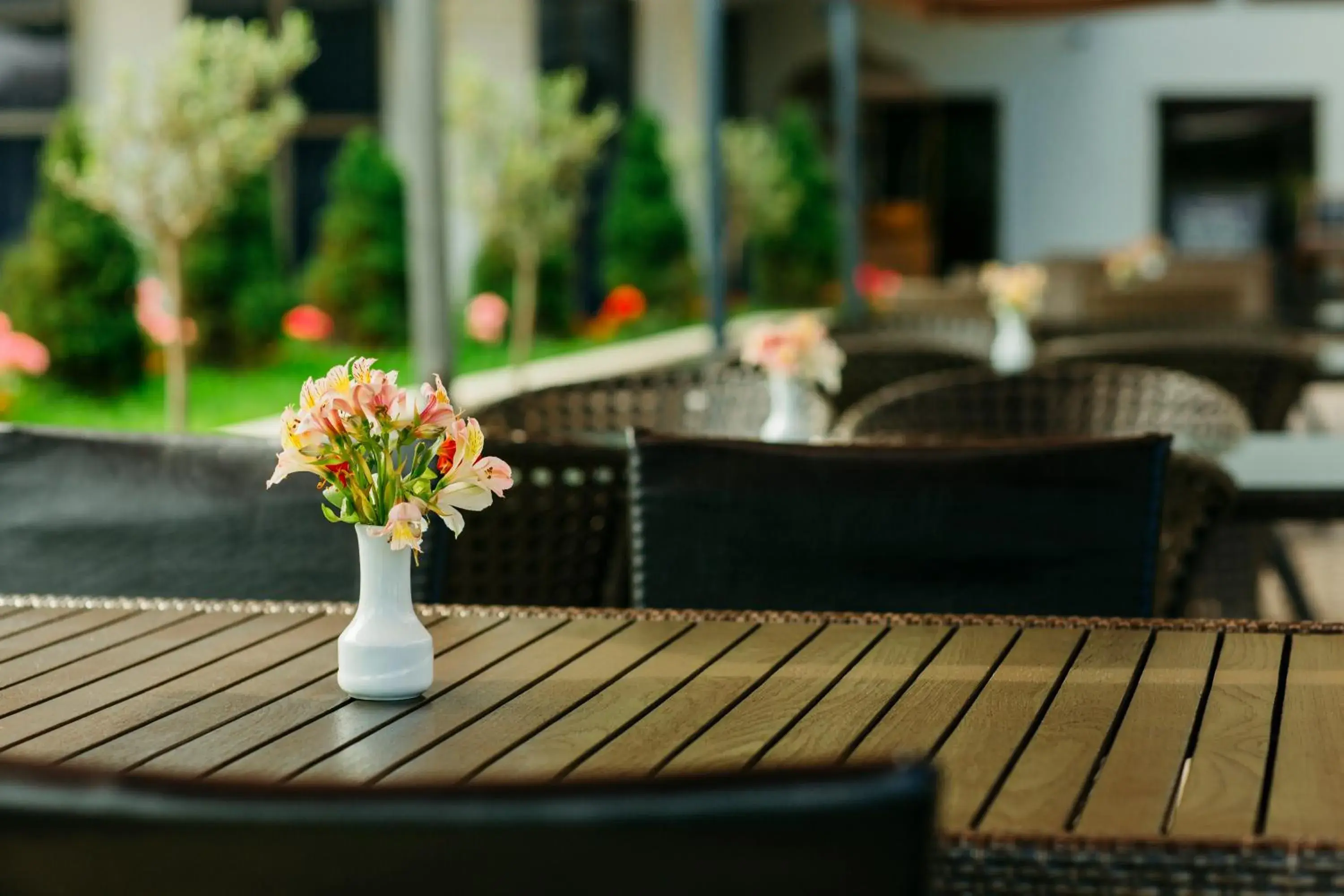 Restaurant/places to eat in Hotel Intourist Palace Batumi Restaurant/places to eat in Hotel Intourist Palace Batumi