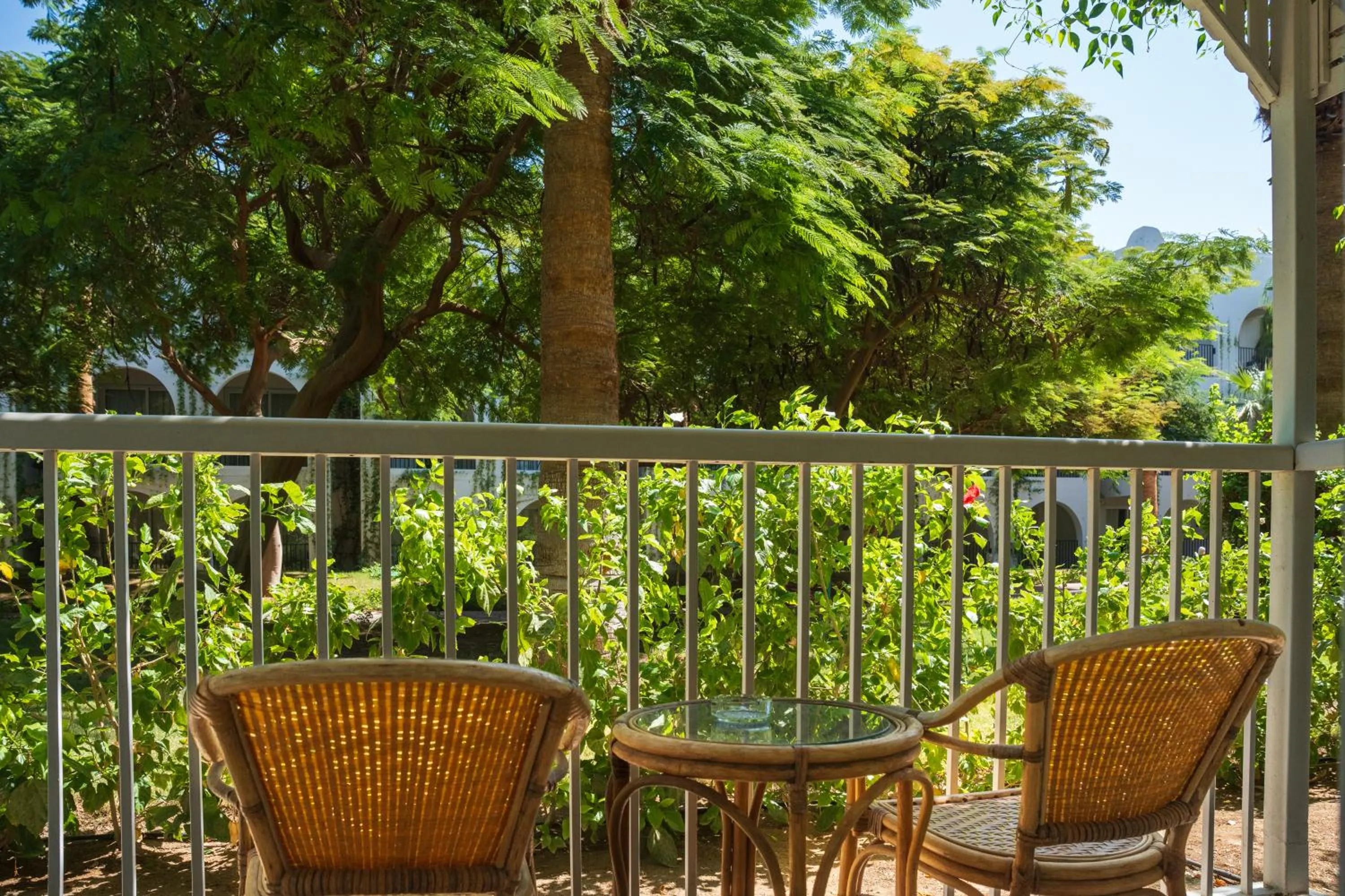 Balcony/Terrace in Desert Rose Resort