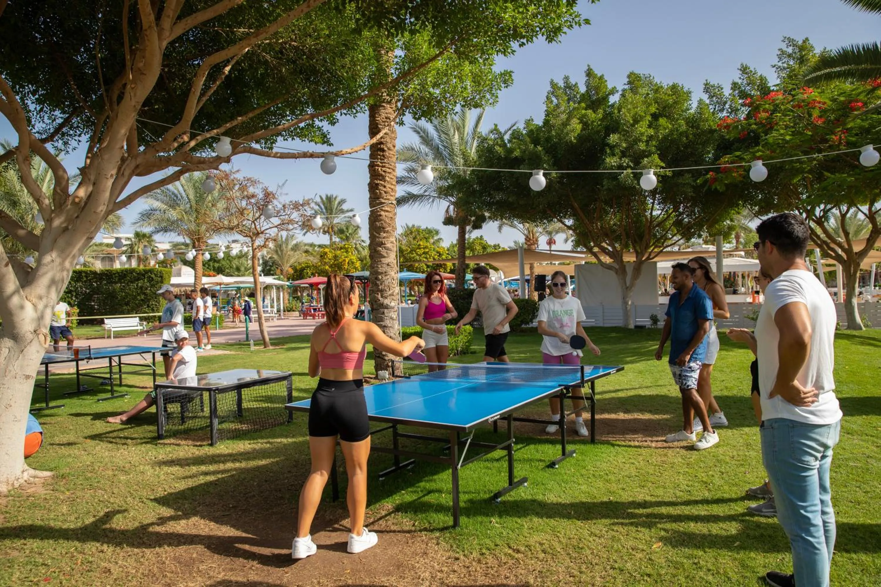 Table tennis in Desert Rose Resort