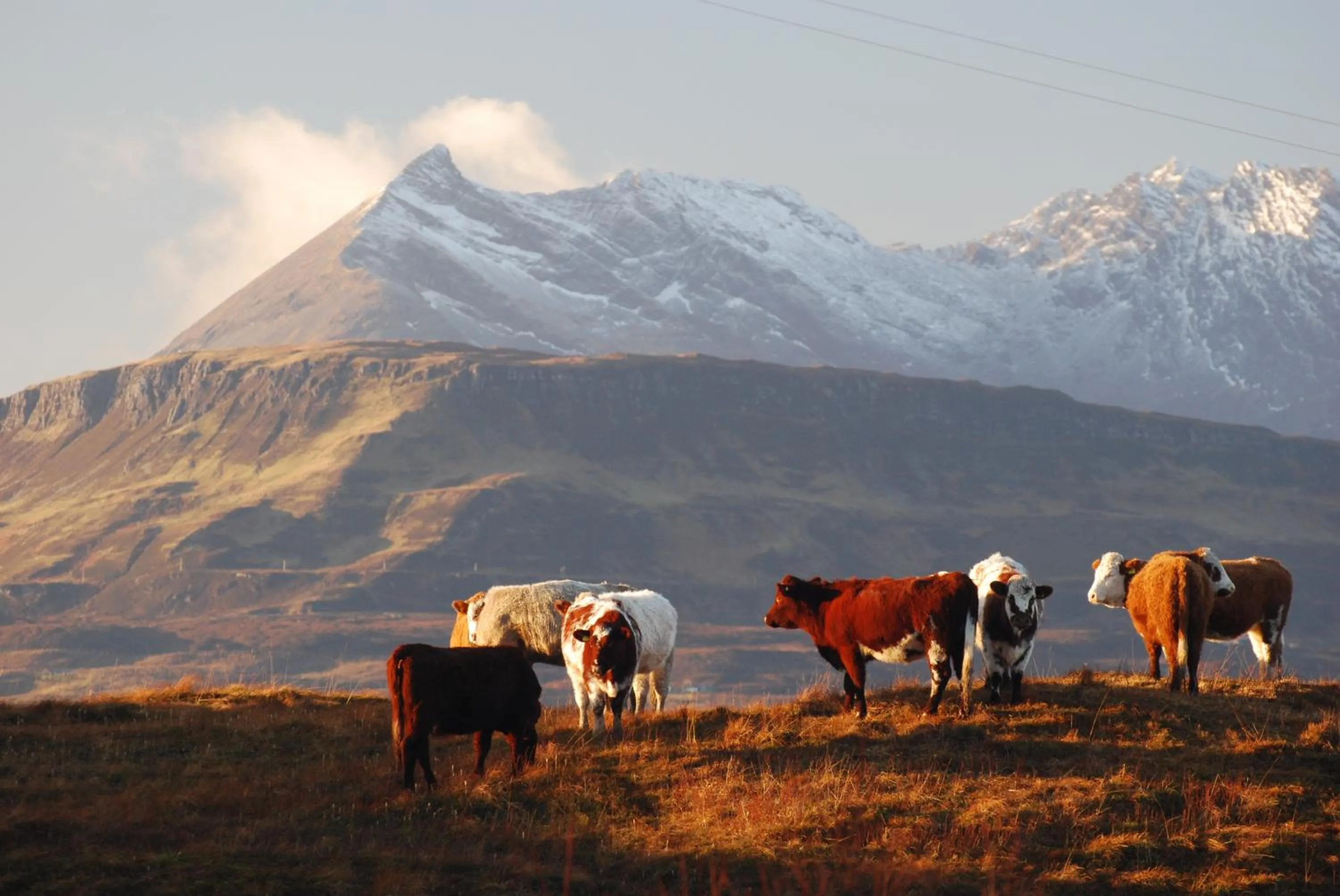 Mountain view in Hotel Eilean Iarmain