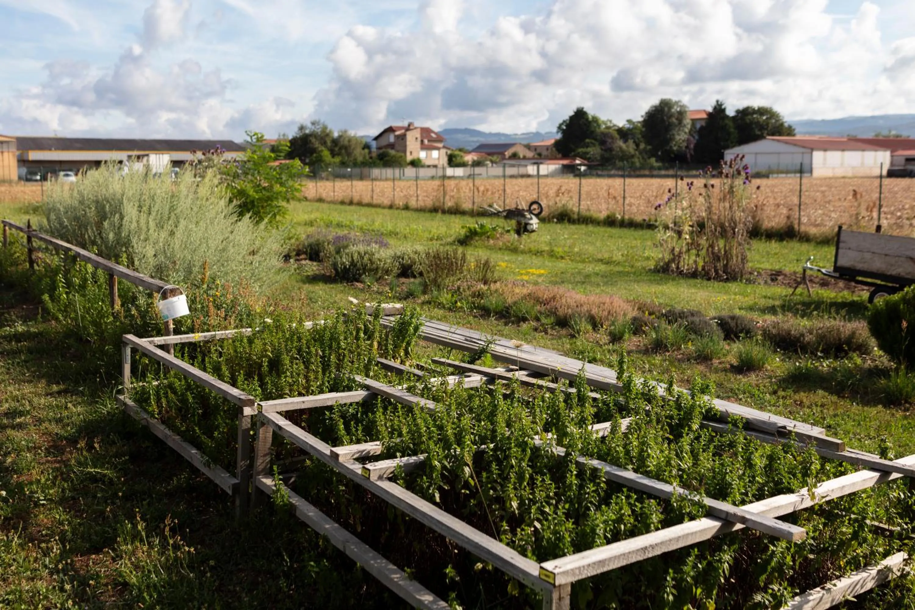 Garden in Artémis Hôtel & Spa Bistro Coquet