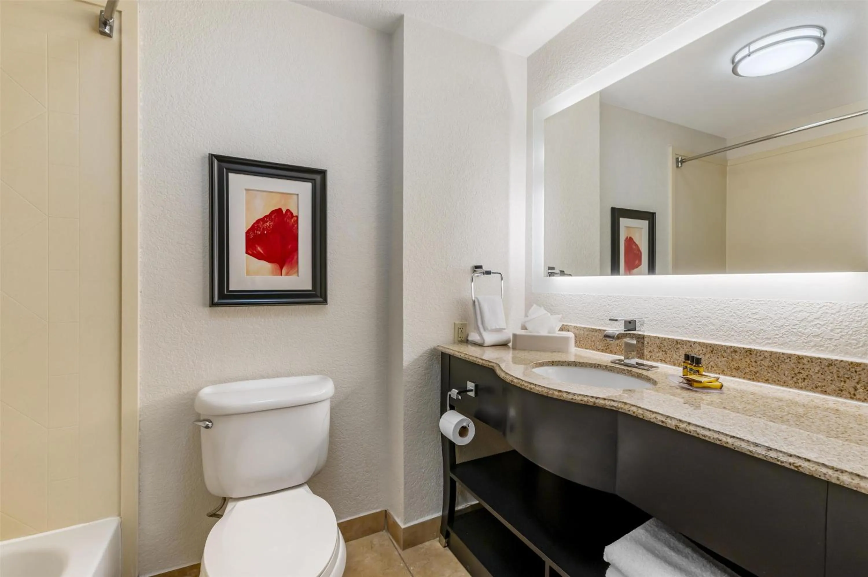 Bathroom in Best Western Plus JFK Inn & Suites