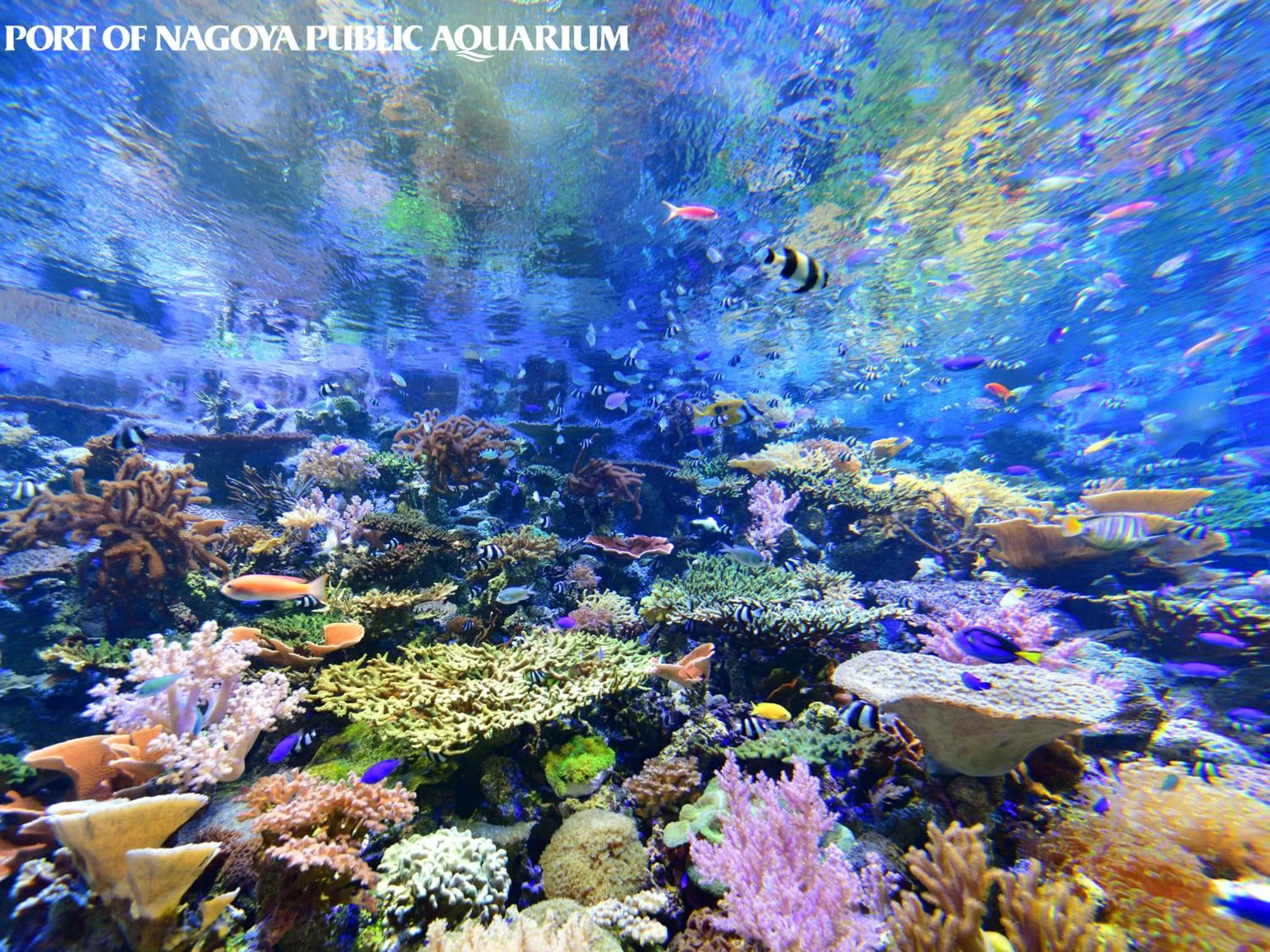 Nearby landmark in Vessel Hotel Campana Nagoya