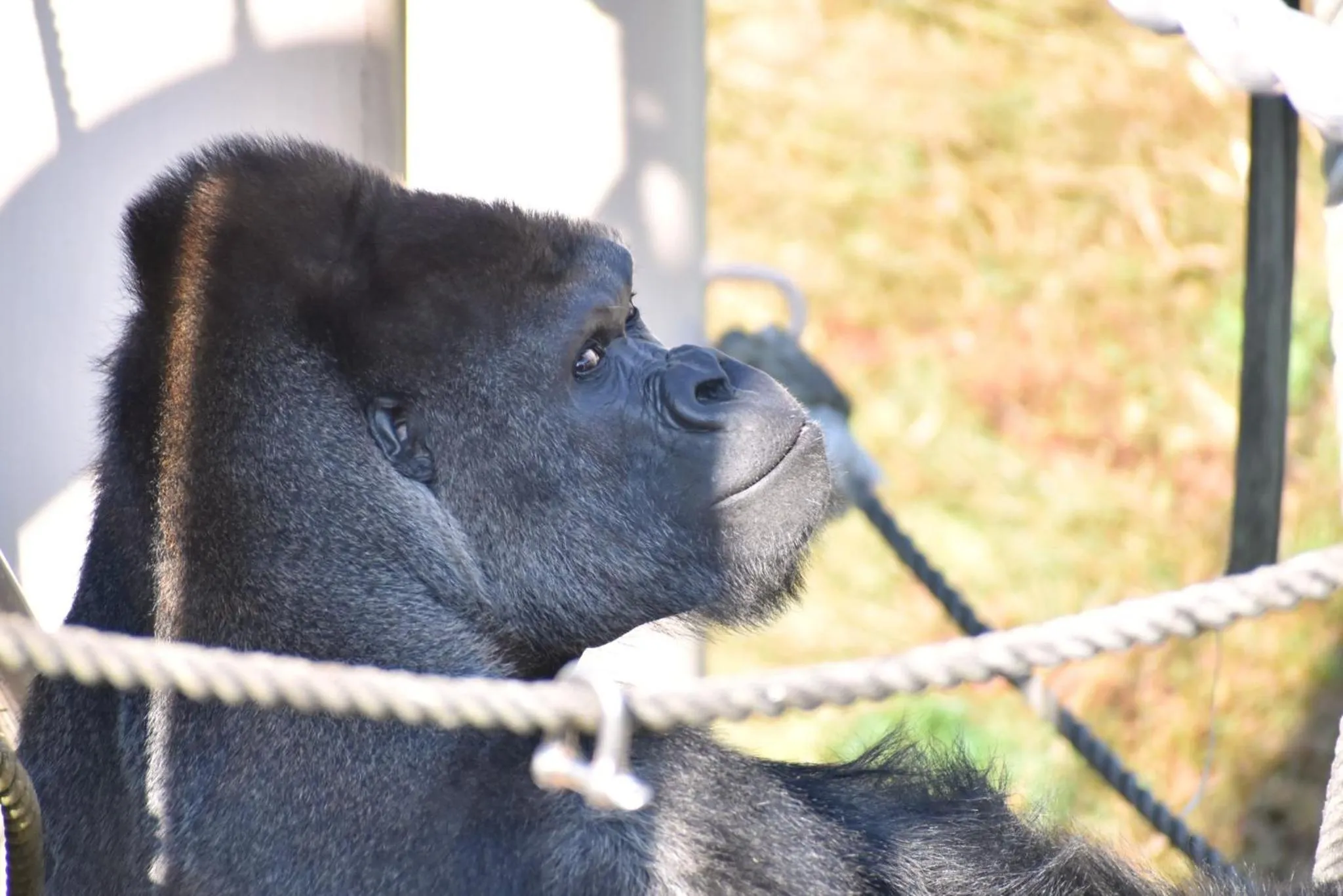 Nearby landmark in Vessel Inn Sakae Station