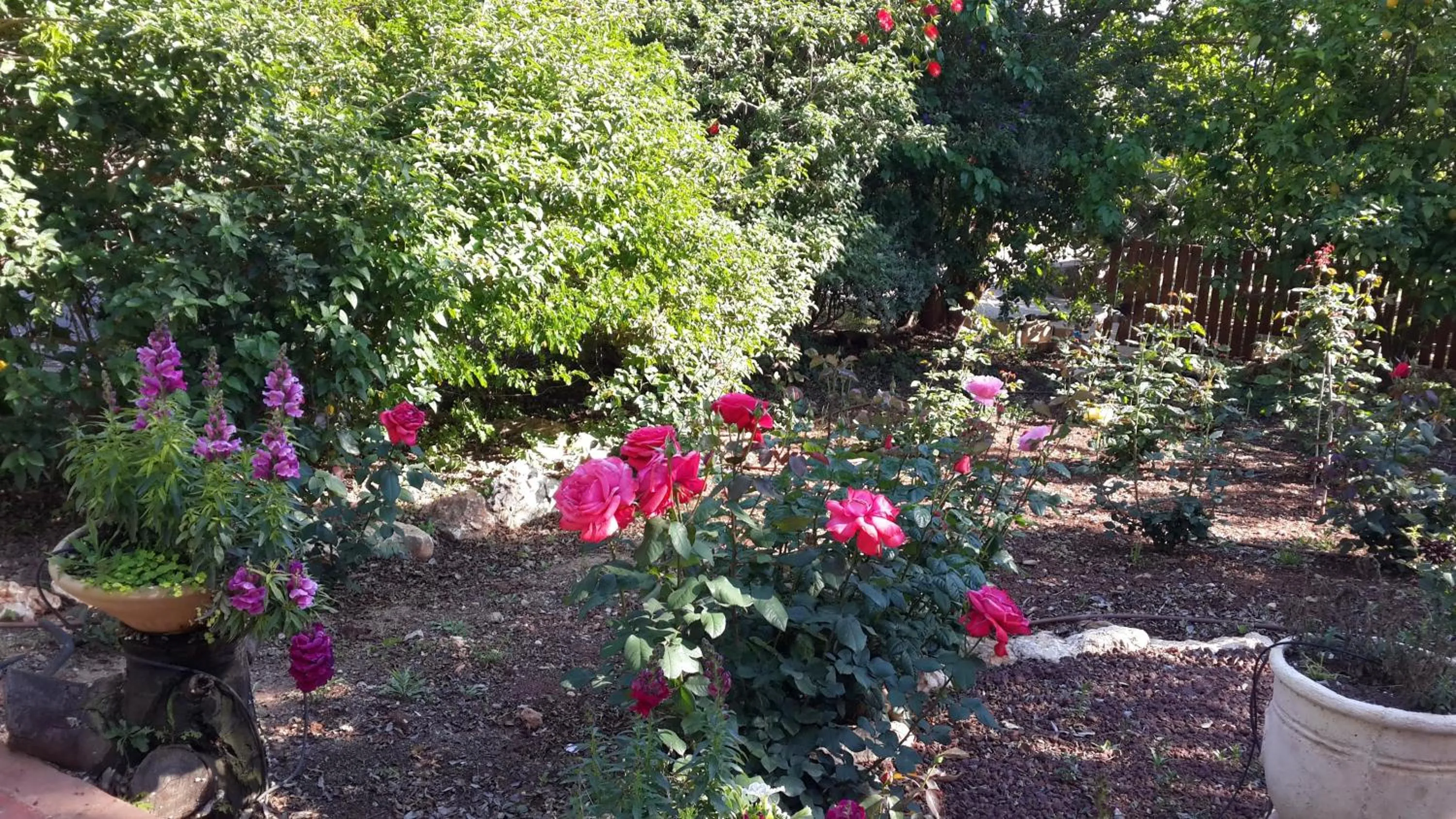 Garden in Betzel Ha'Ella