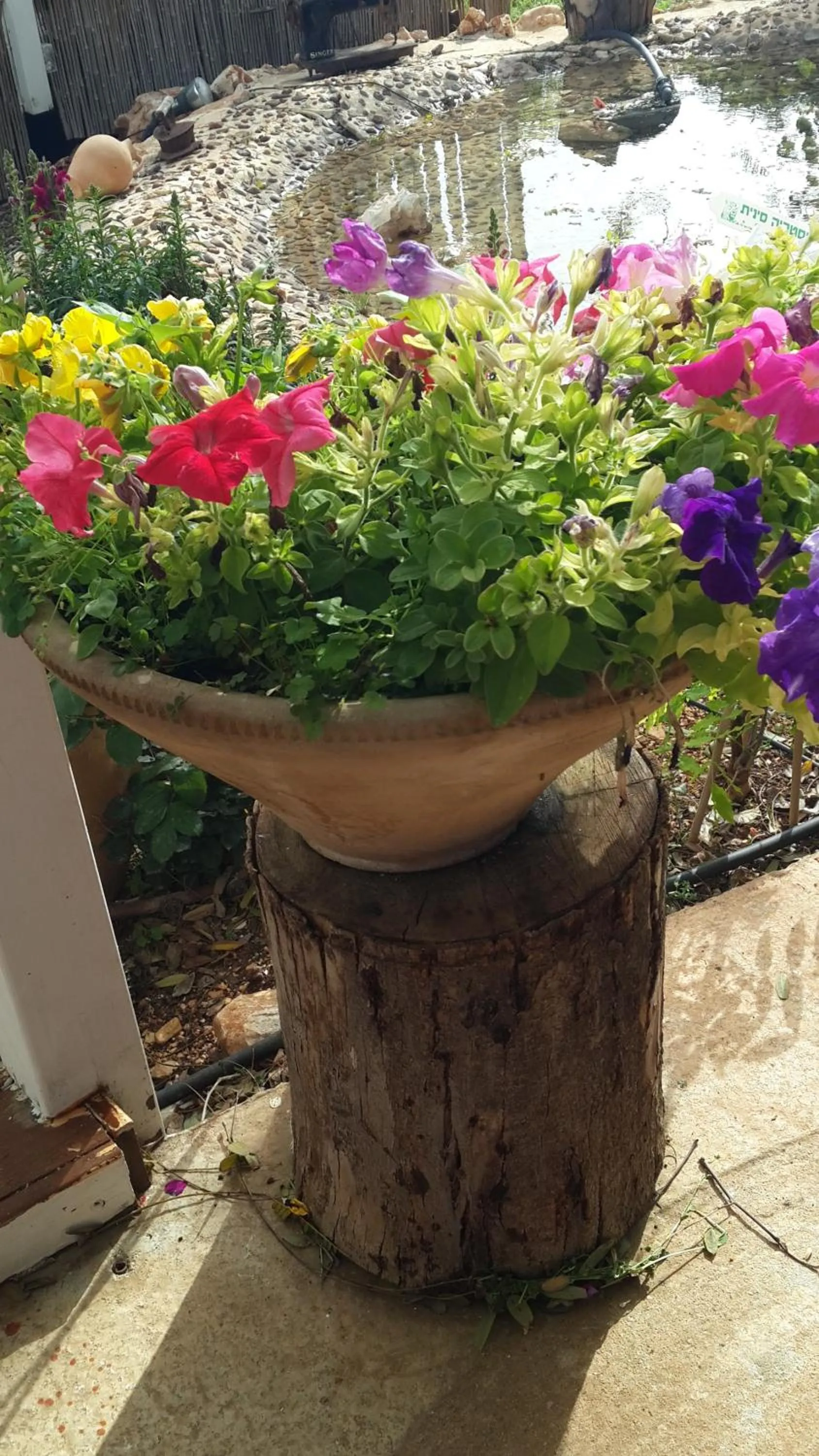 Garden in Betzel Ha'Ella