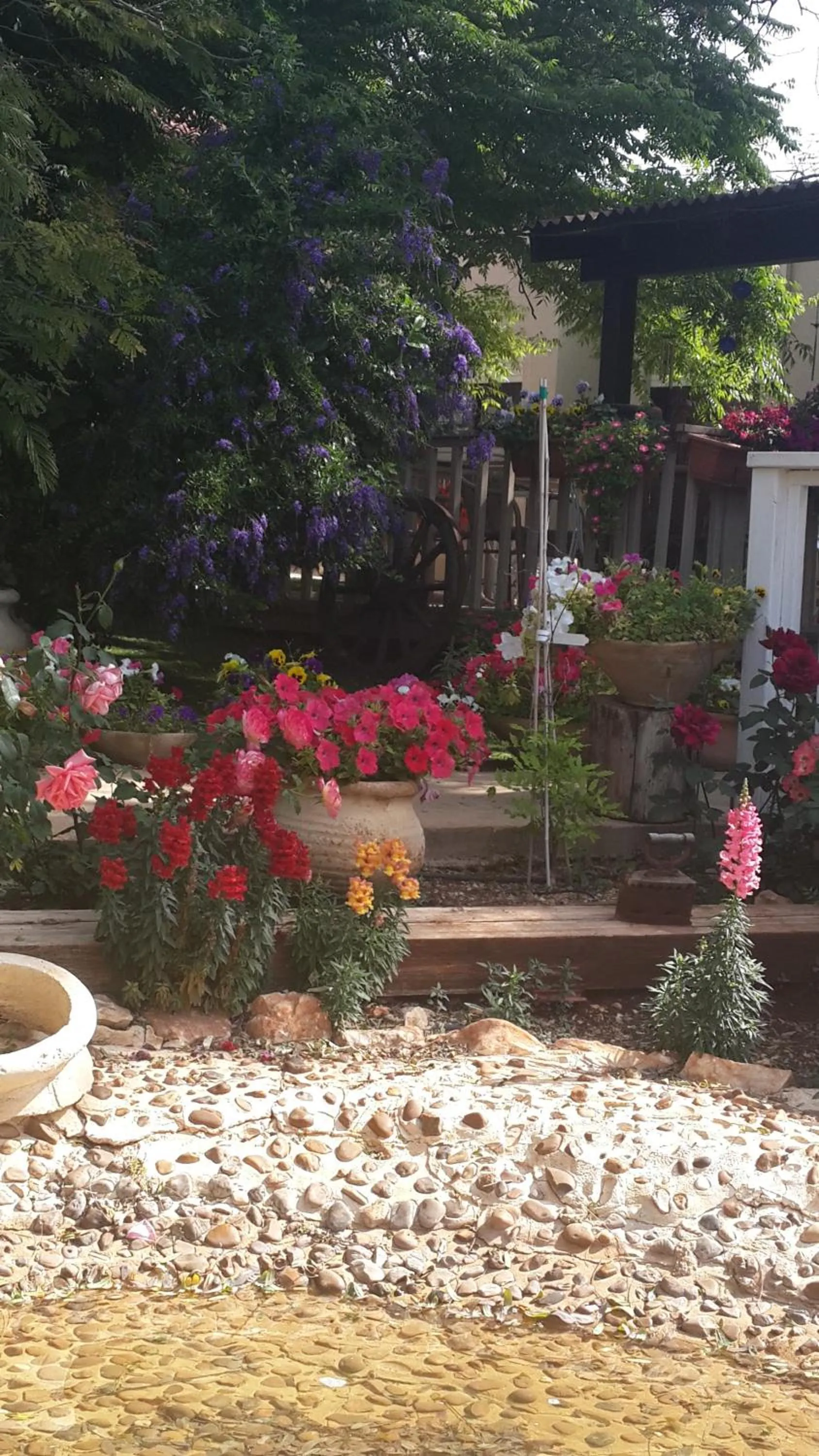 Garden in Betzel Ha'Ella