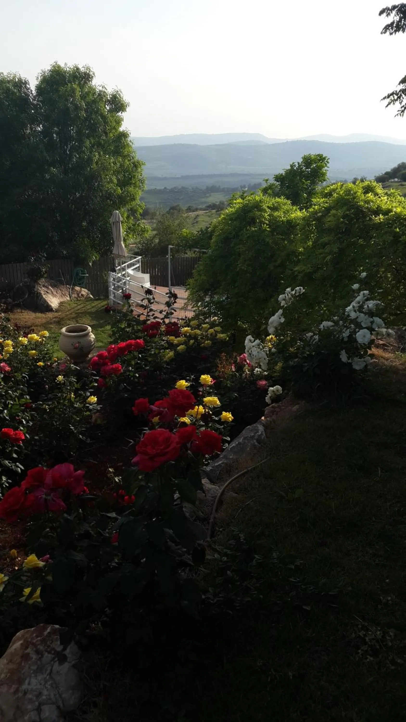 Nearby landmark in Betzel Ha'Ella