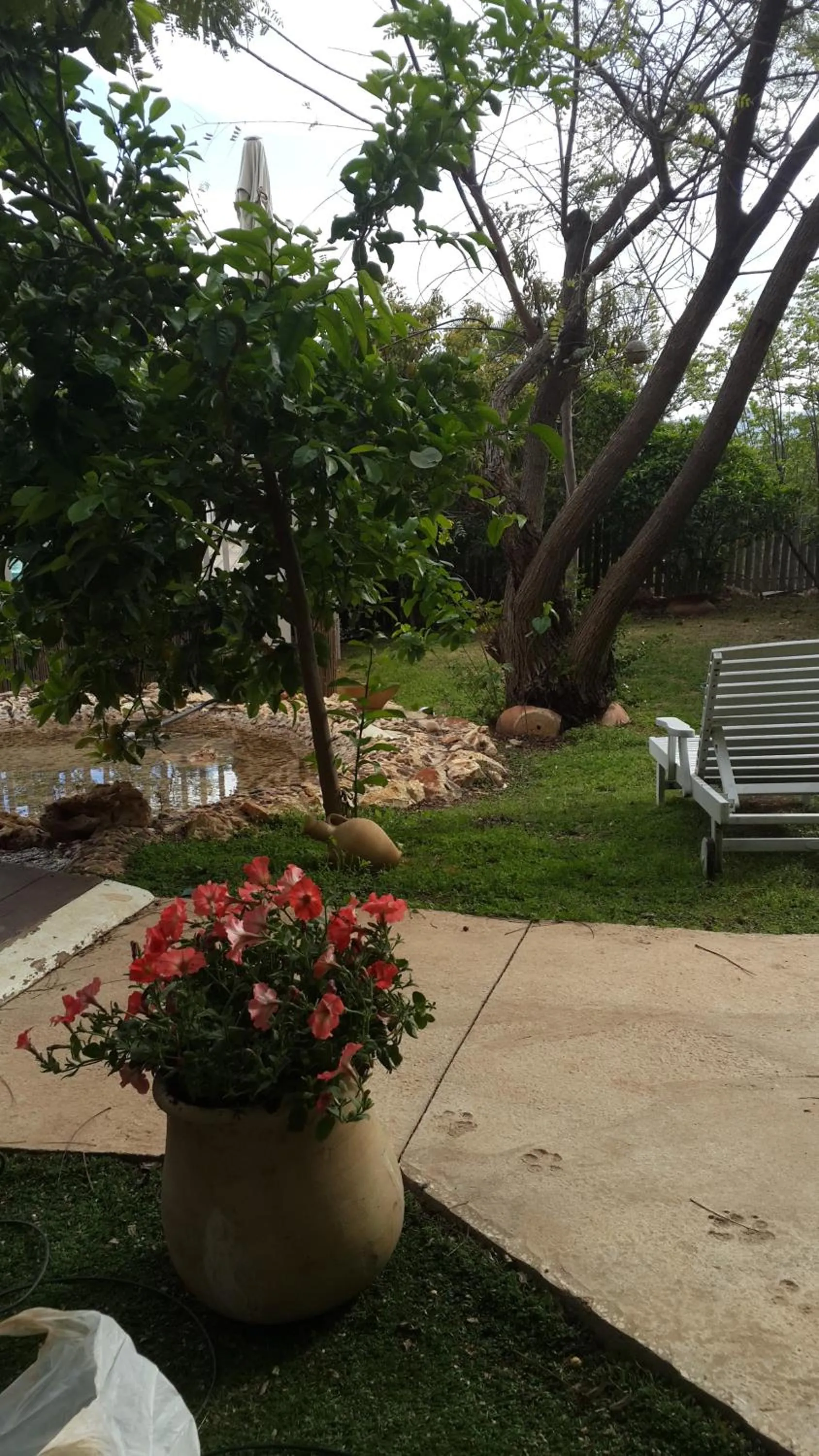 Garden in Betzel Ha'Ella