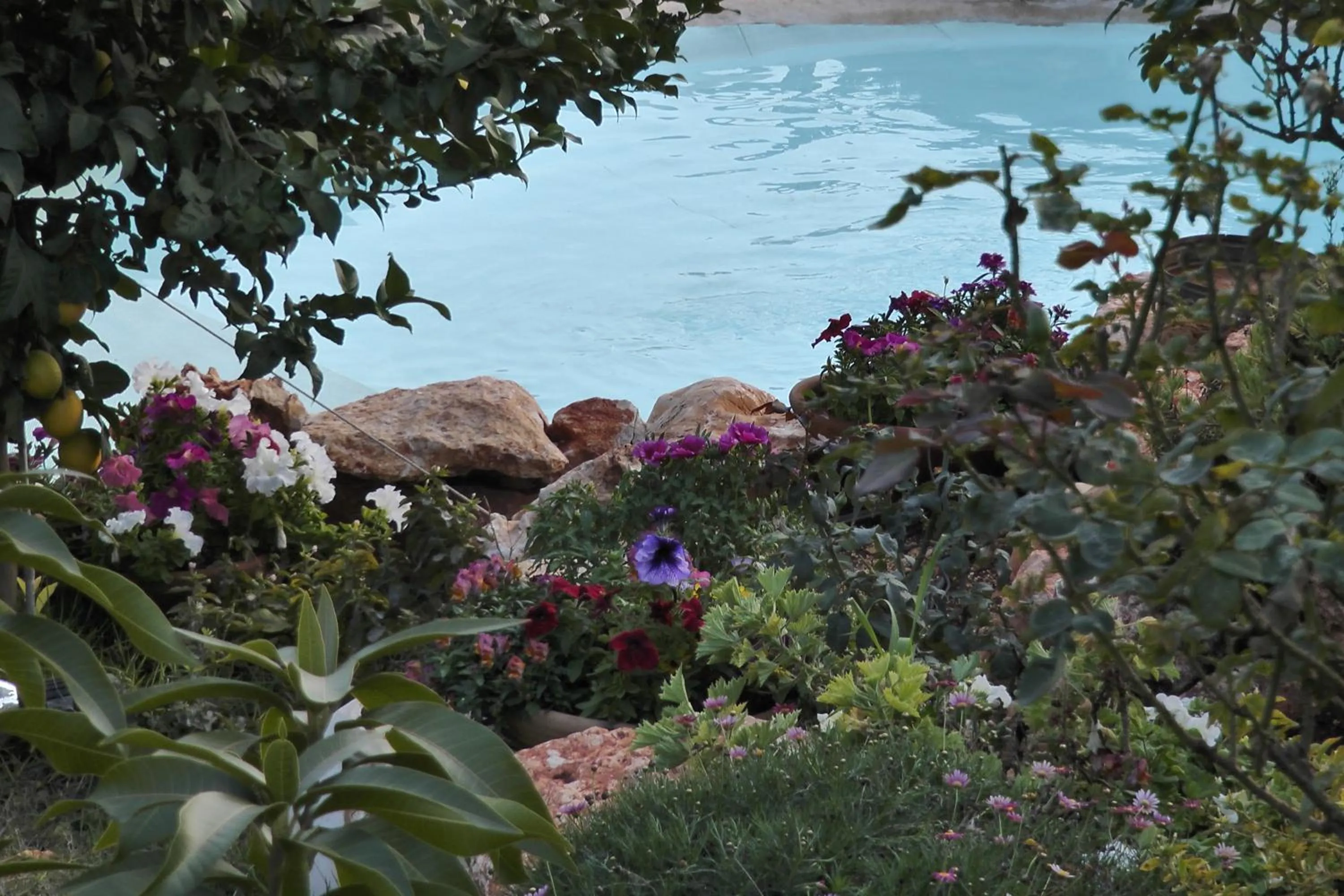 Garden in Betzel Ha'Ella