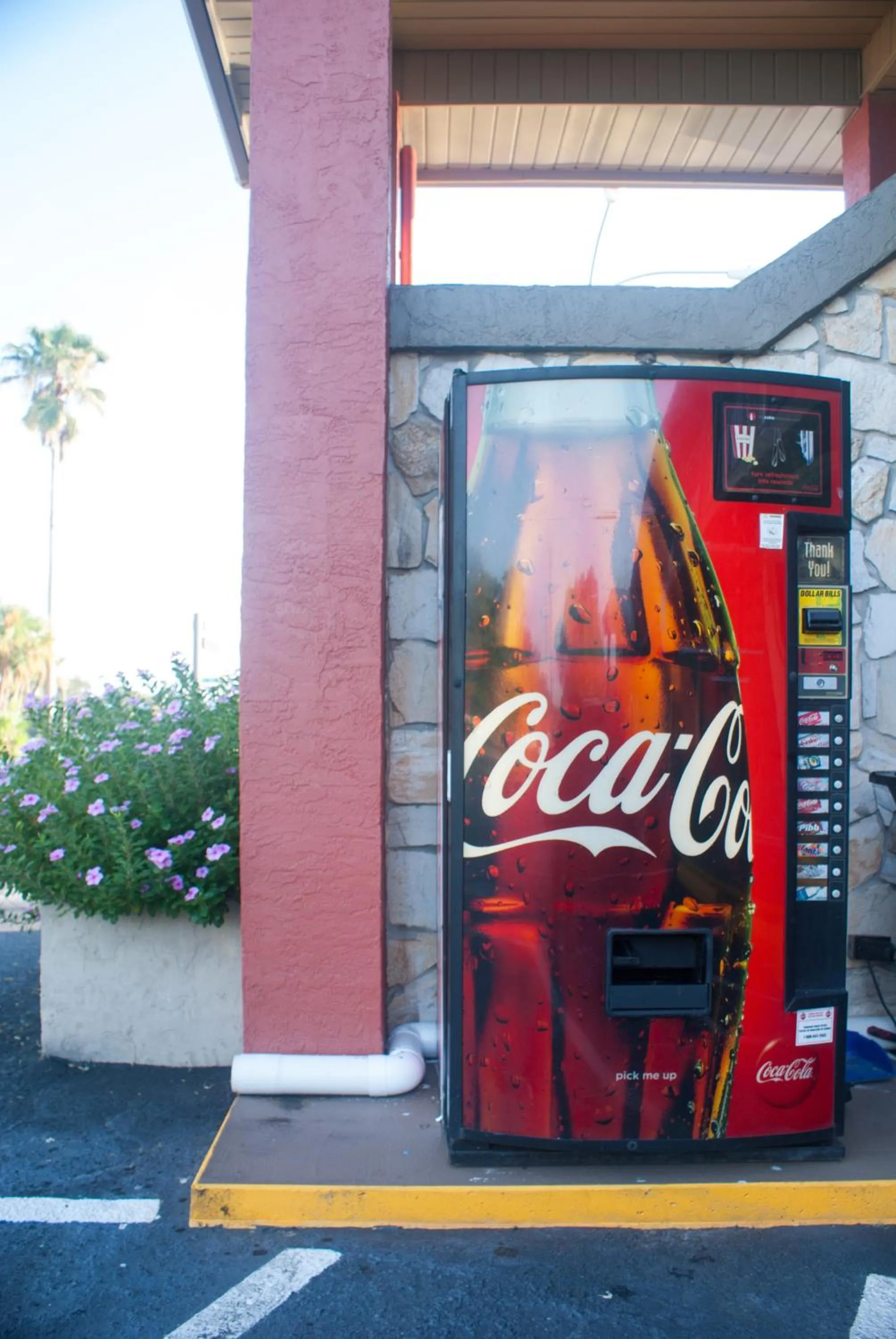 Drinks in Polynesian Inn