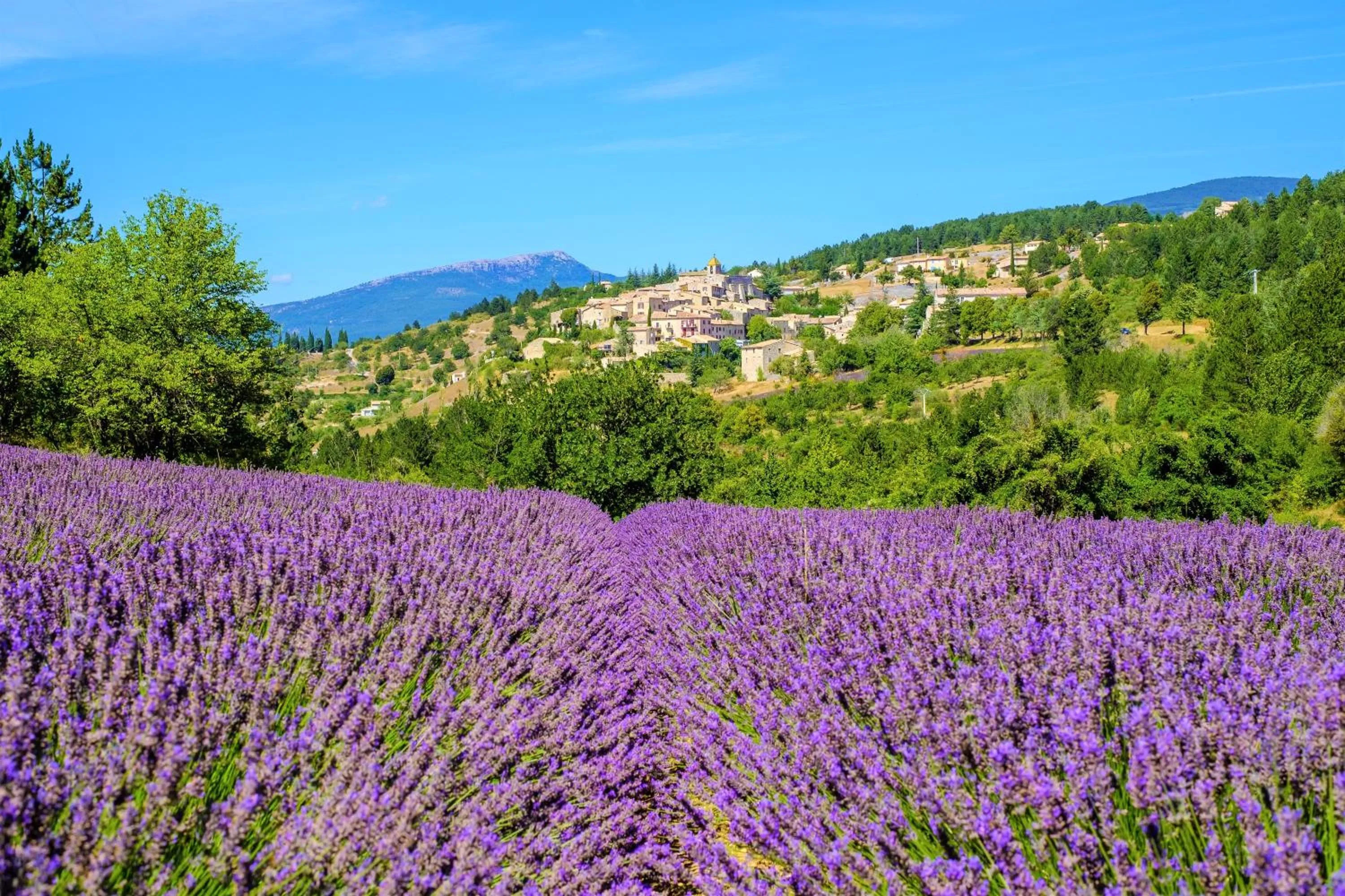 Natural landscape in Village vacances Le Hameau des Oliviers