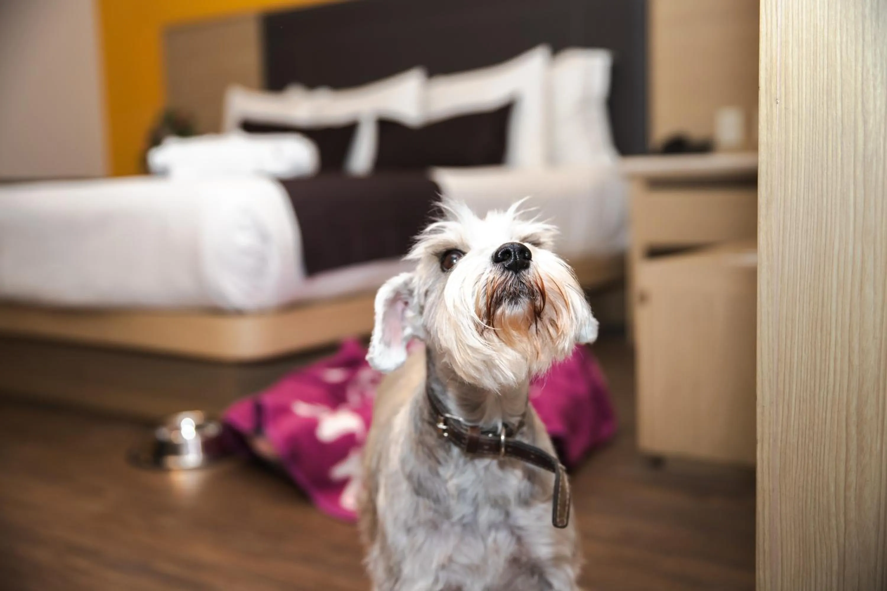 Bed in Plaza Poblana