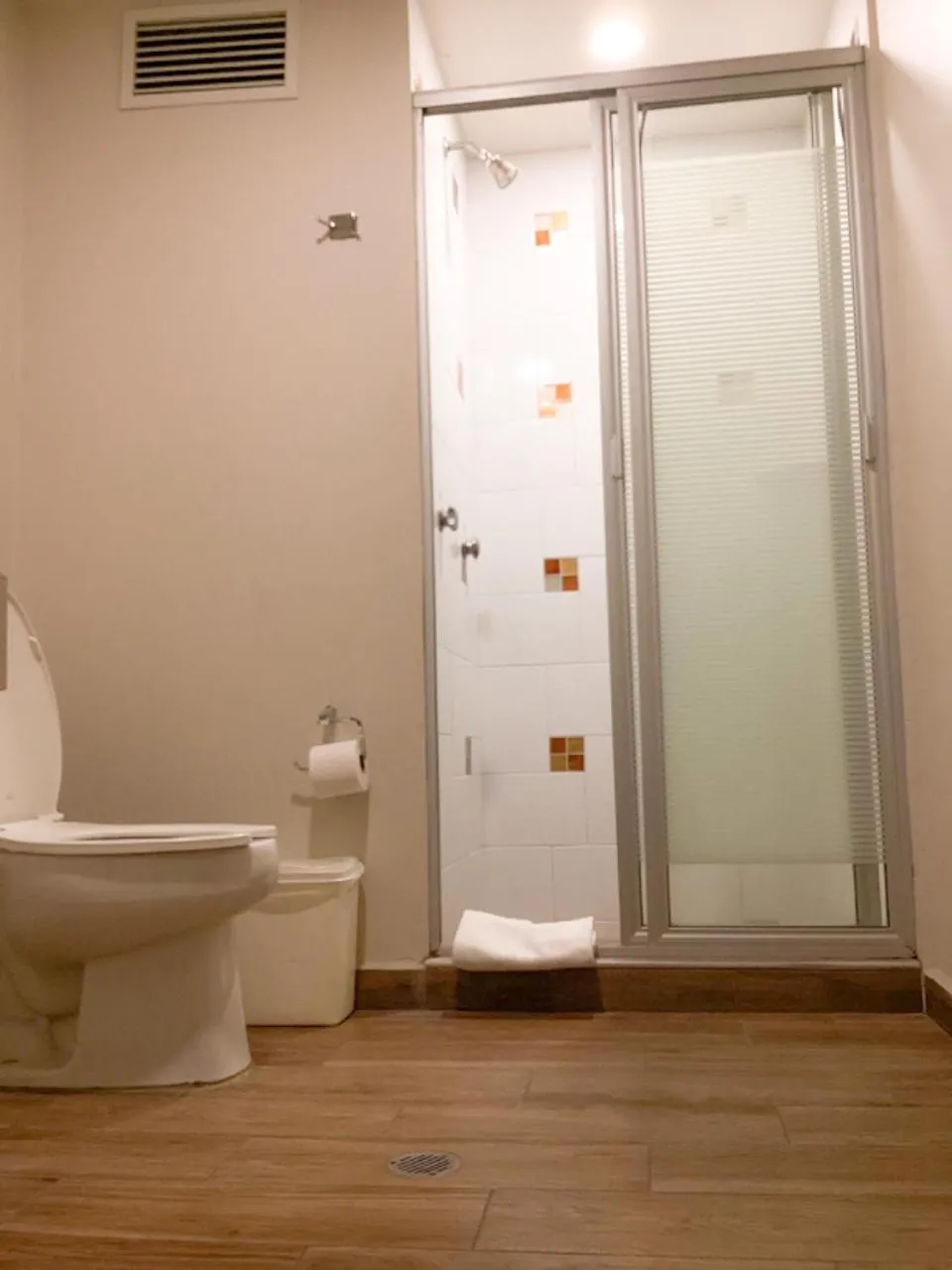 Toilet in Plaza Poblana