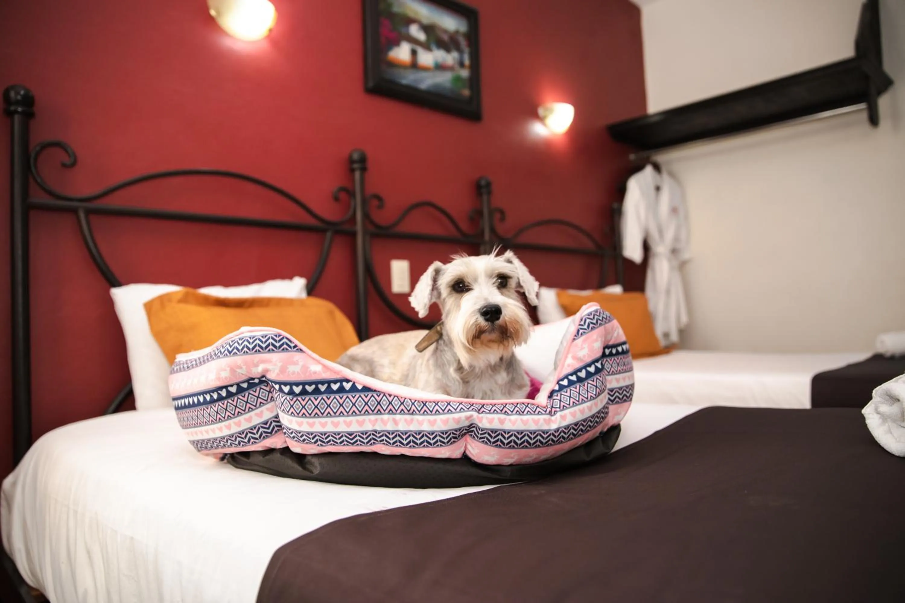 Bed in Plaza Poblana