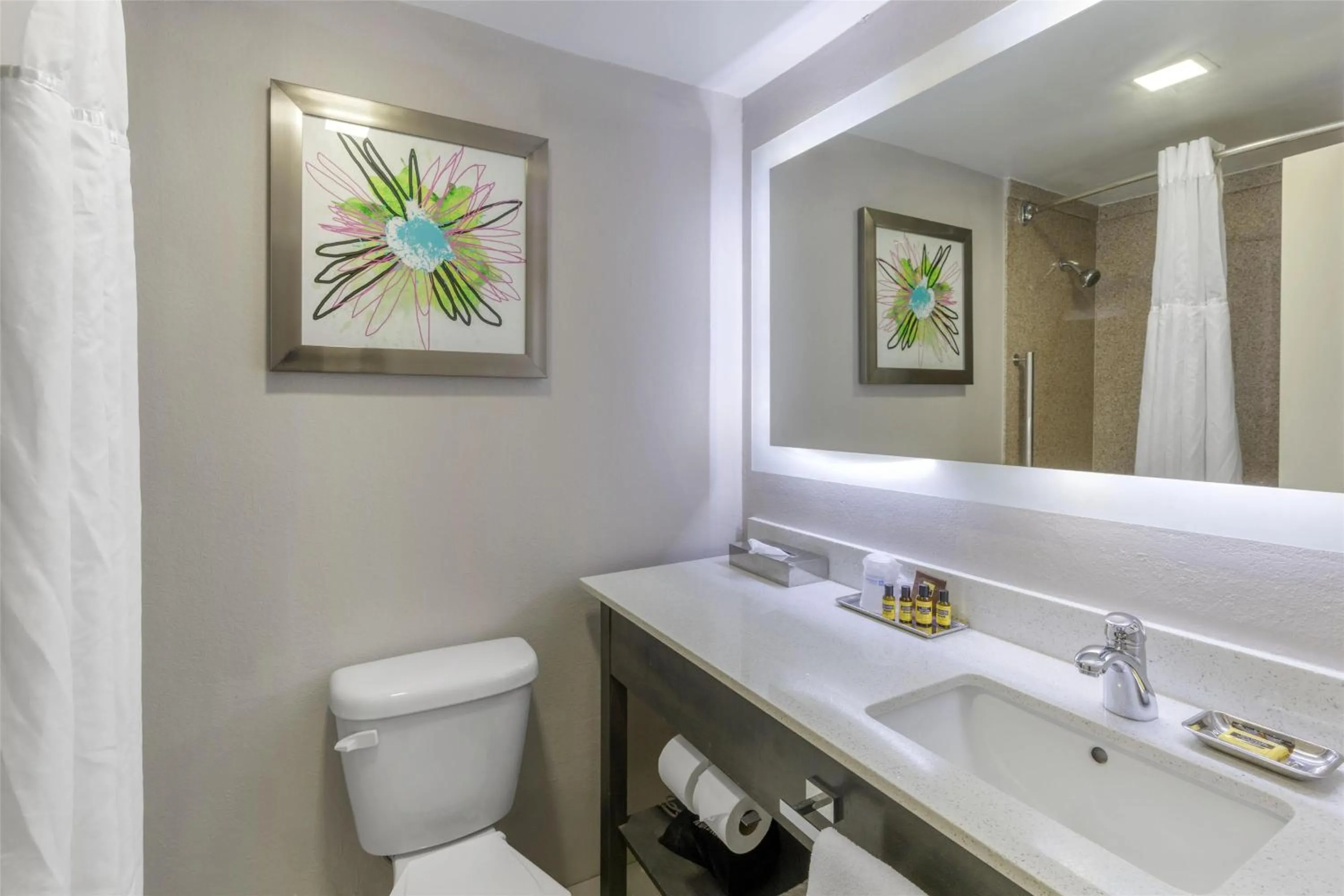 Bathroom in Best Western Plus Clemson Hotel & Conference Center