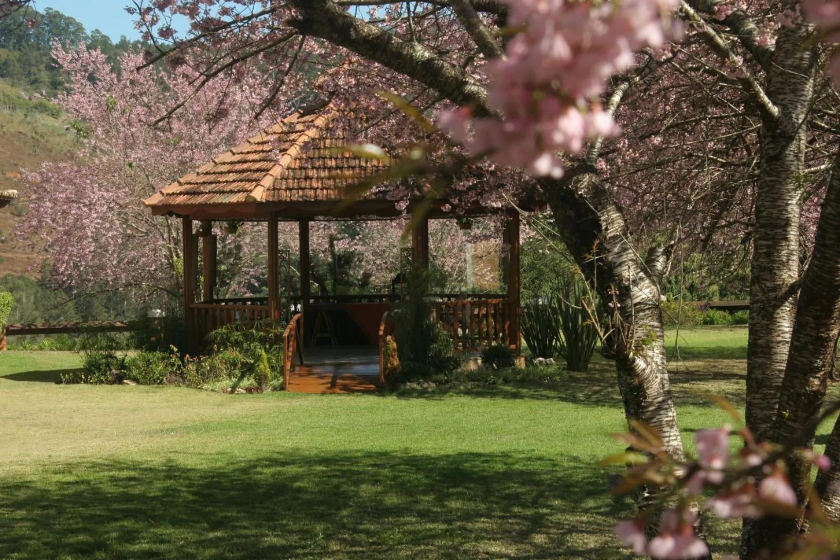 Garden in Quinta da Paz Resort