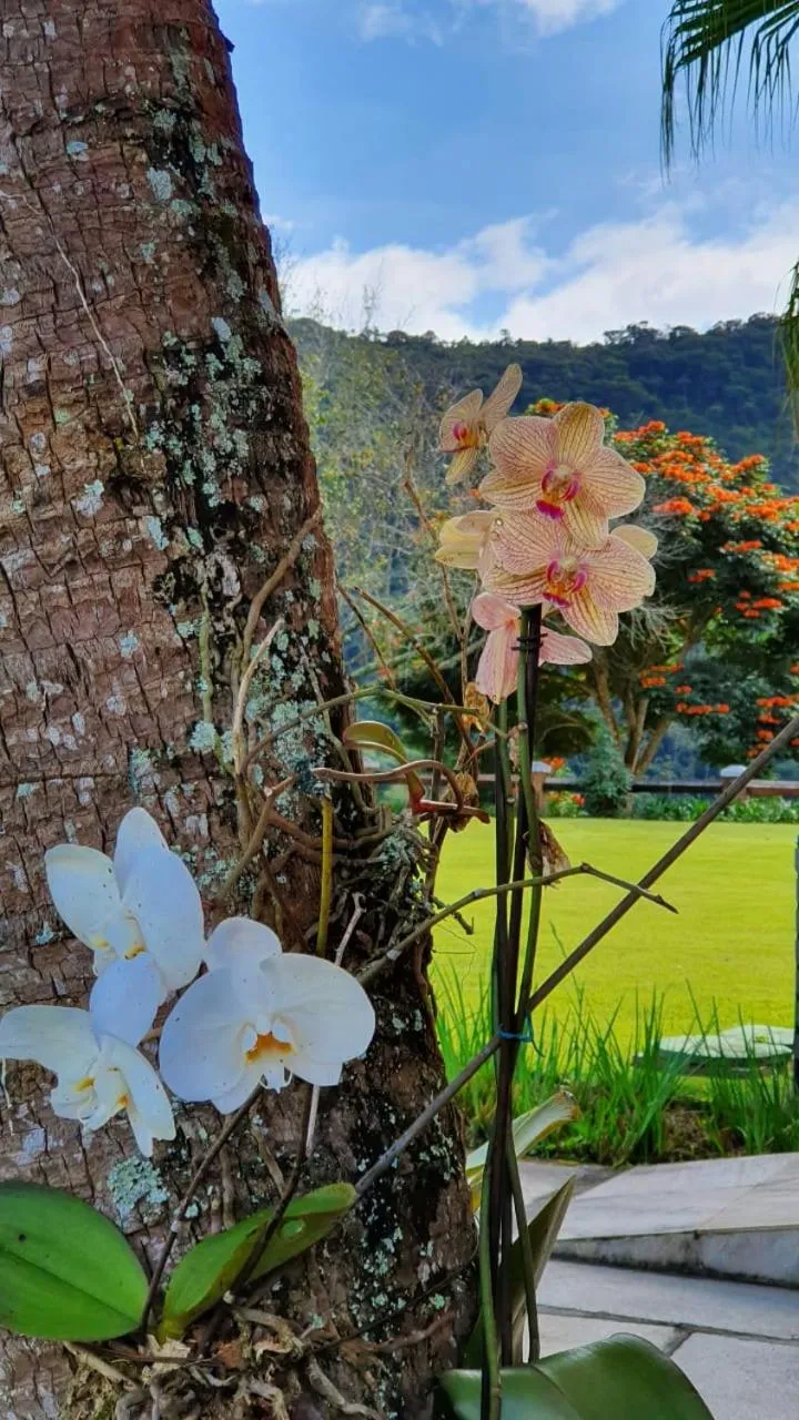 Natural landscape in Quinta da Paz Resort