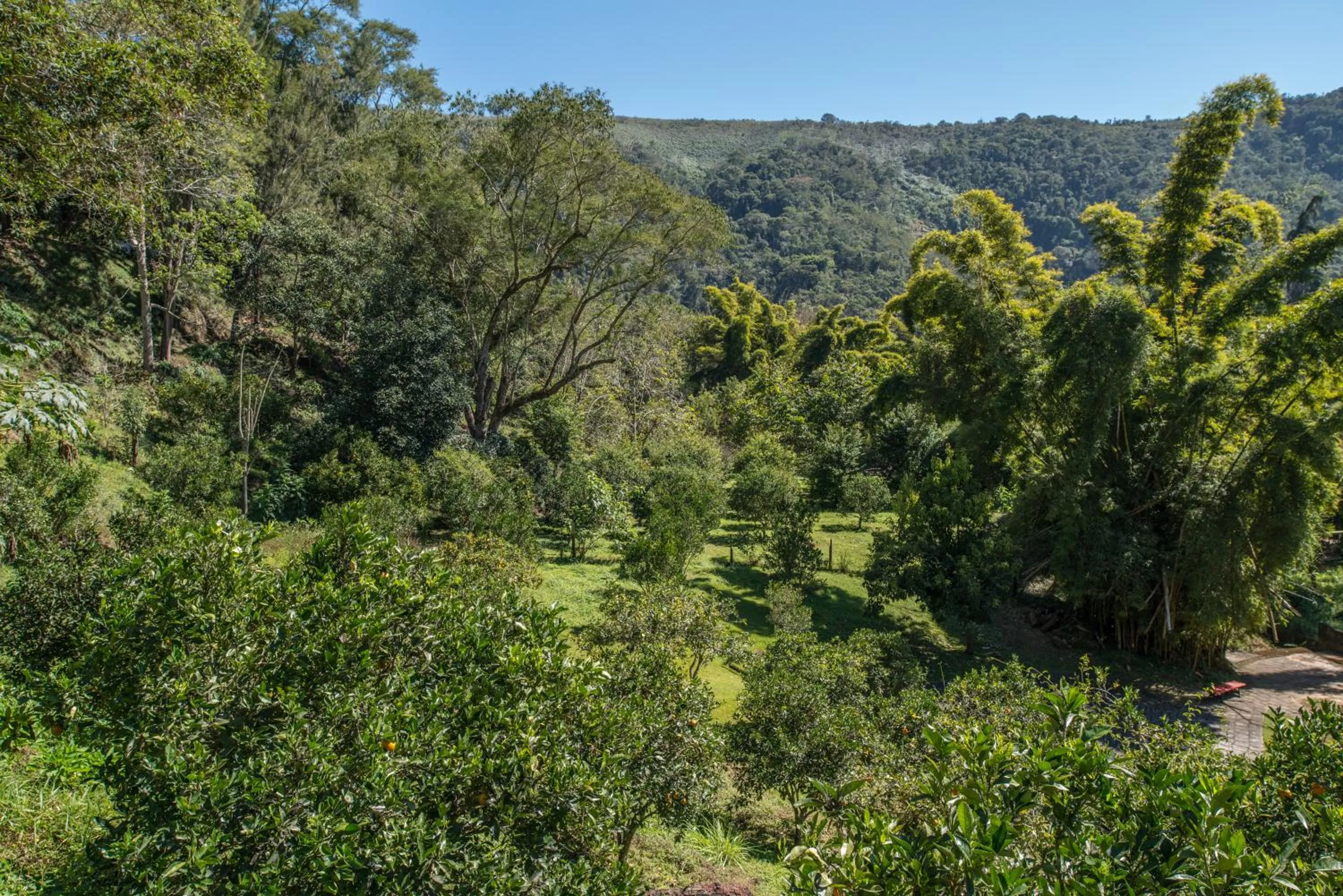 Natural landscape in Quinta da Paz Resort