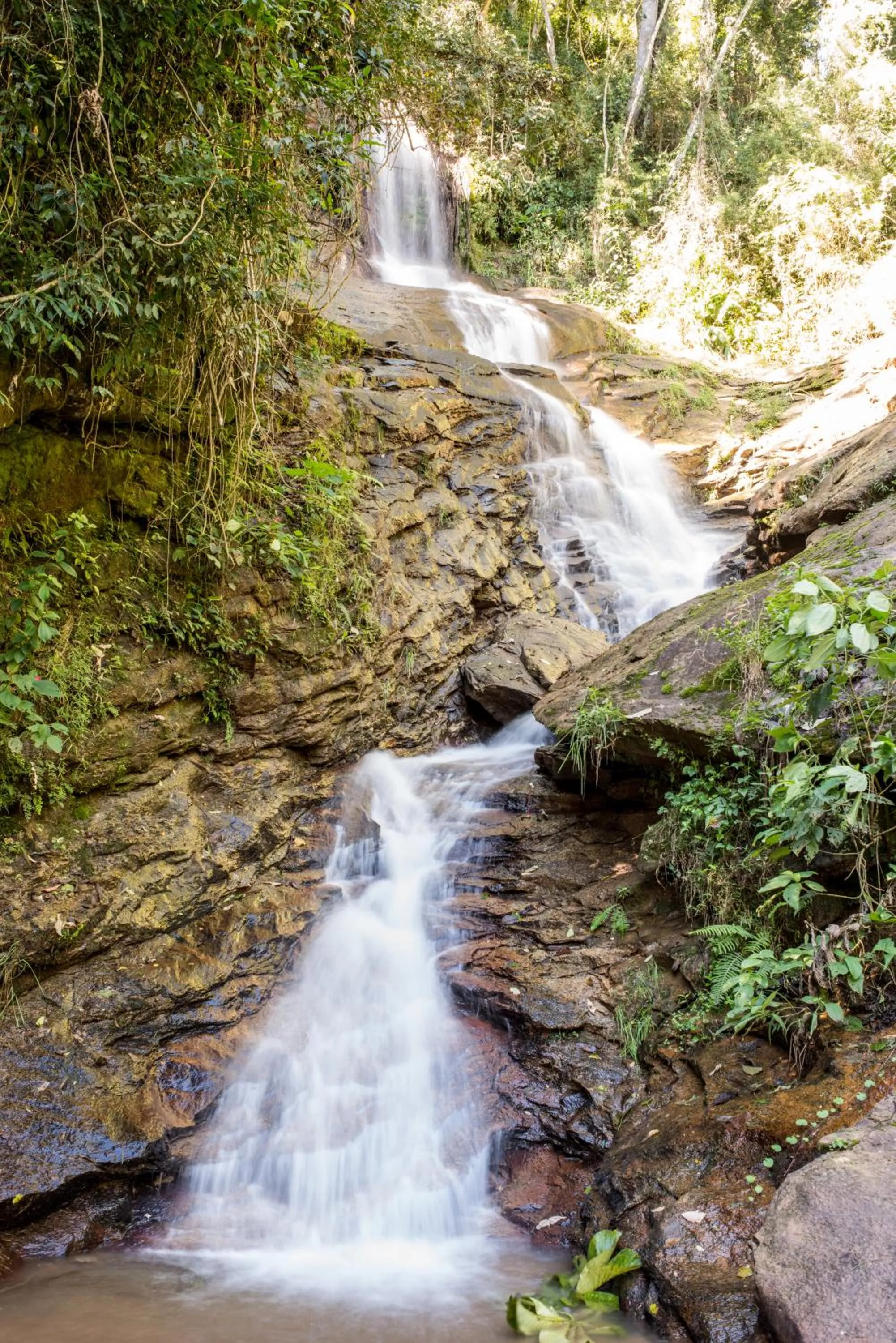 Natural landscape in Quinta da Paz Resort