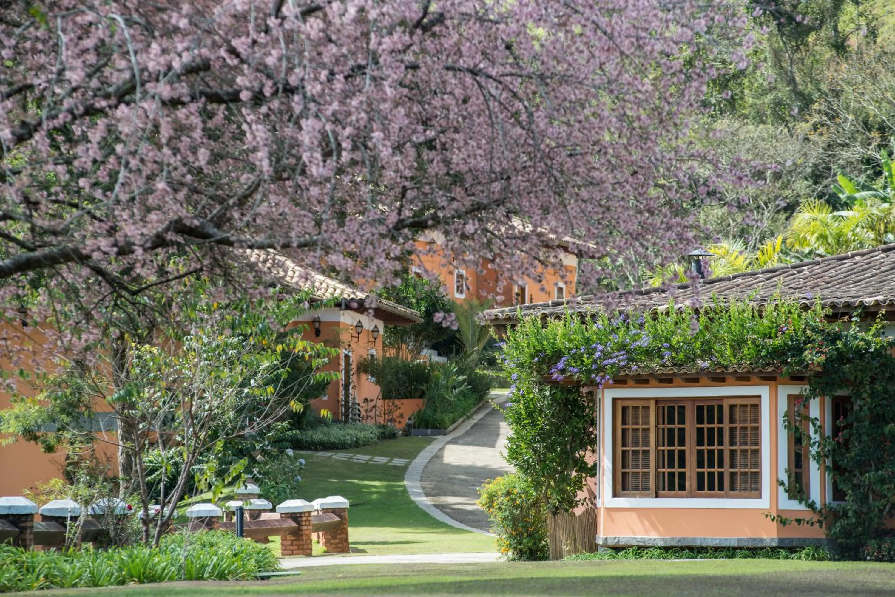 Winter in Quinta da Paz Resort